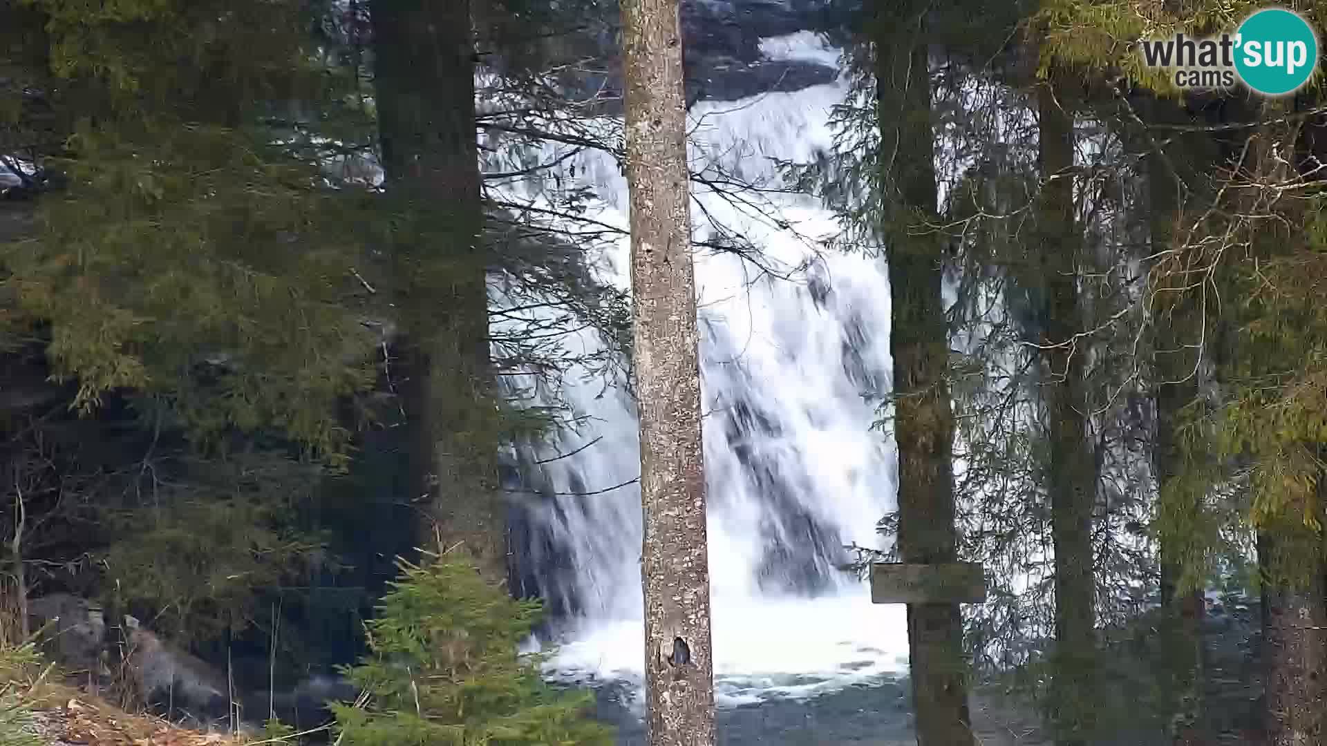 Camera en vivo Rogla appartamentos Dandi – Jurgovo