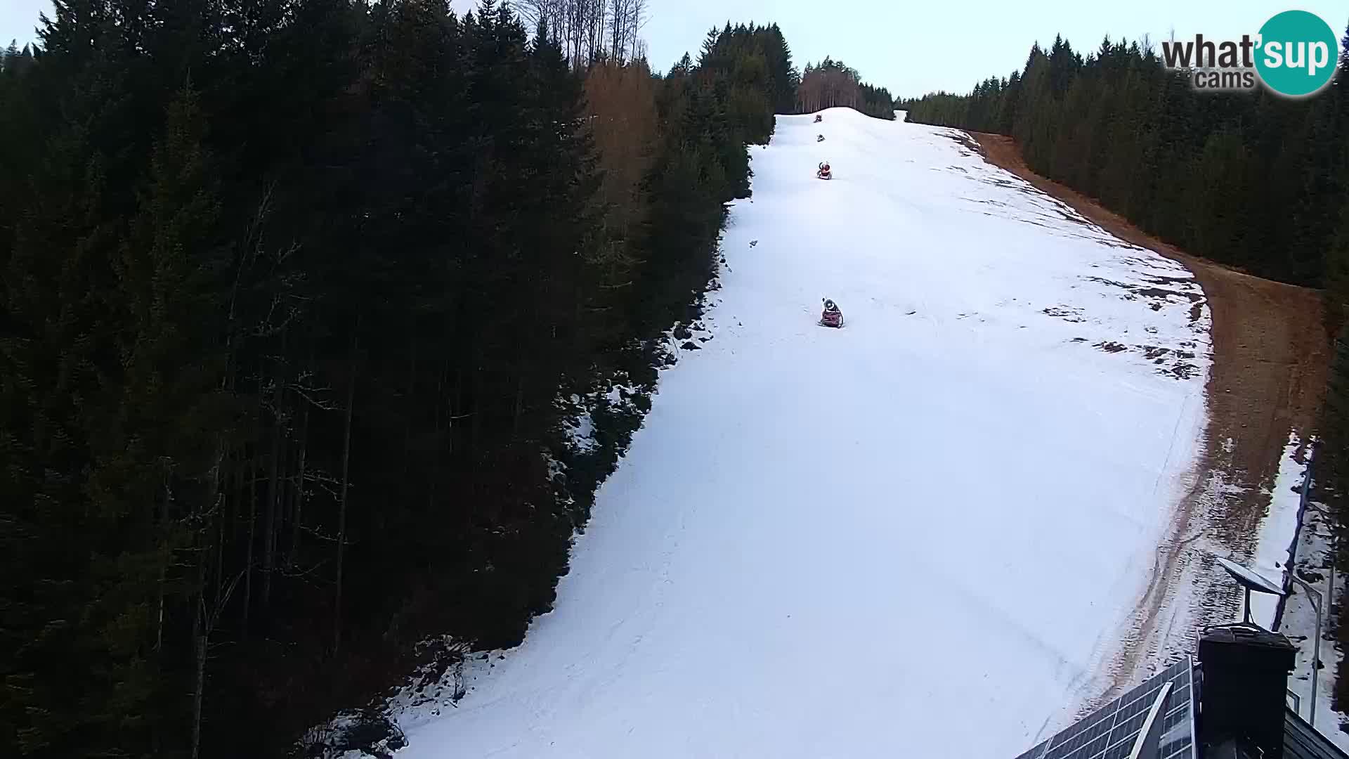 Spletna kamera Rogla apartmaji Dandi – Jurgovo