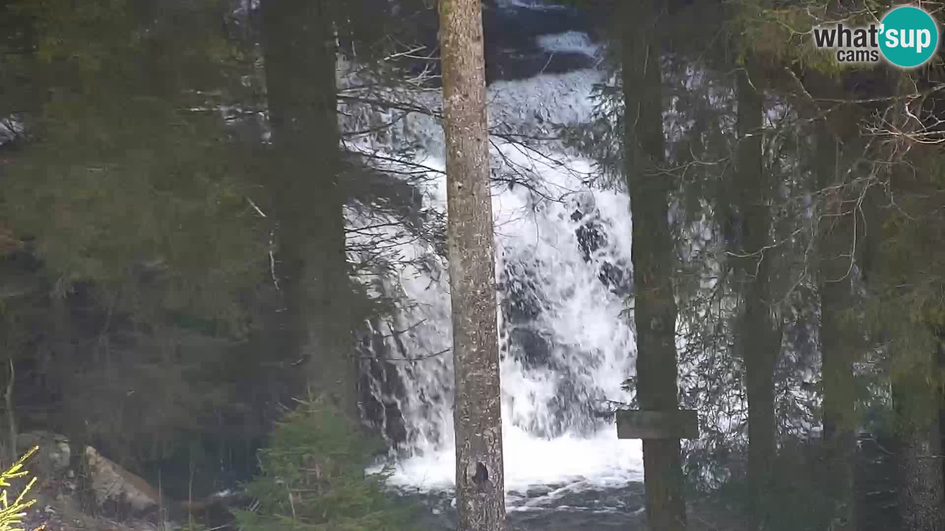 Camera en vivo Rogla appartamentos Dandi – Jurgovo