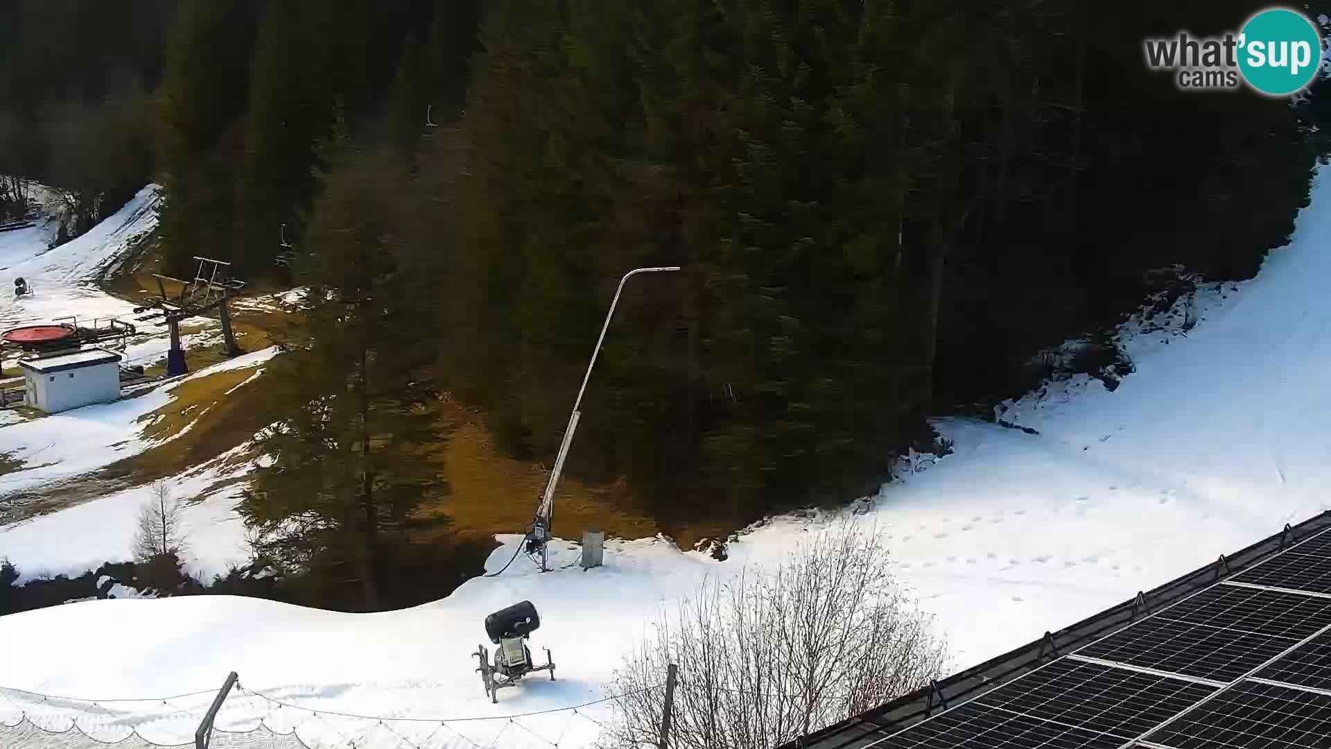 Spletna kamera Rogla apartmaji Dandi – Jurgovo