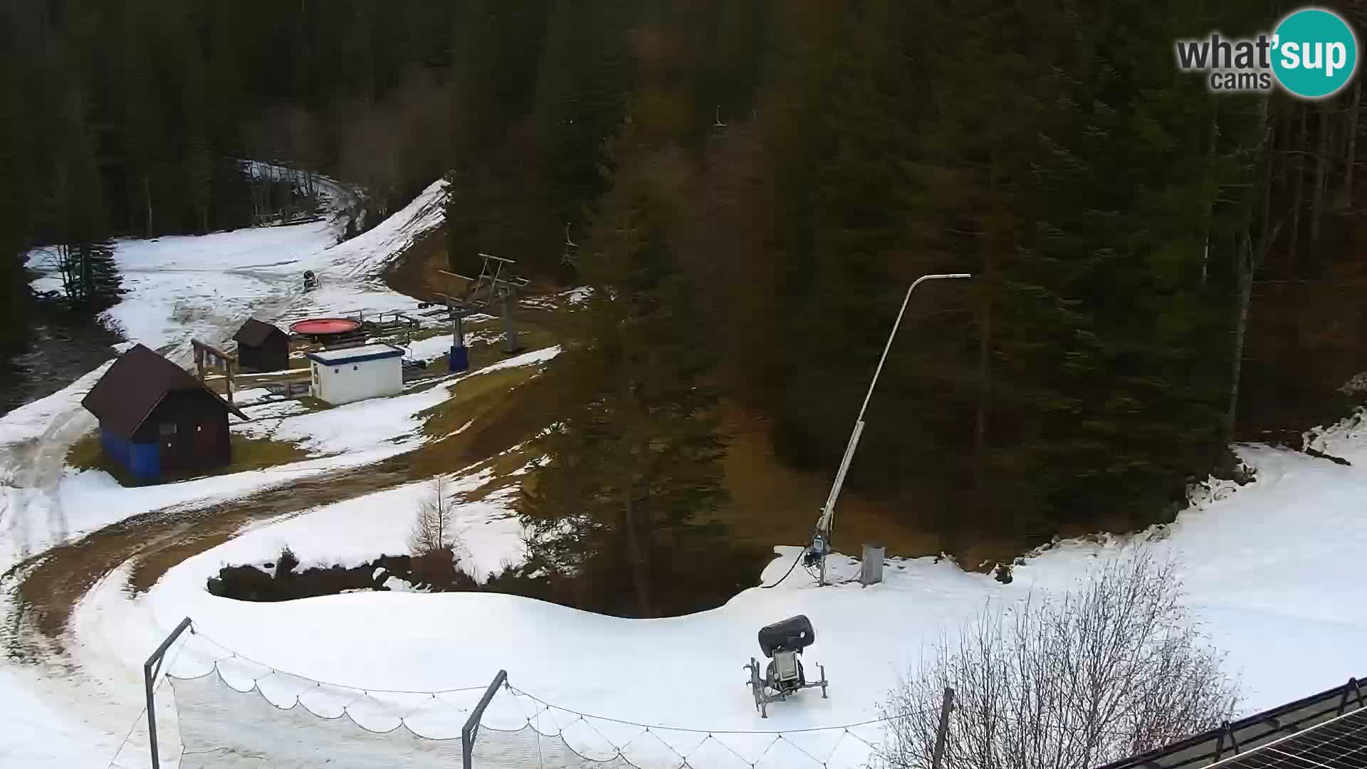 Spletna kamera Rogla apartmaji Dandi – Jurgovo