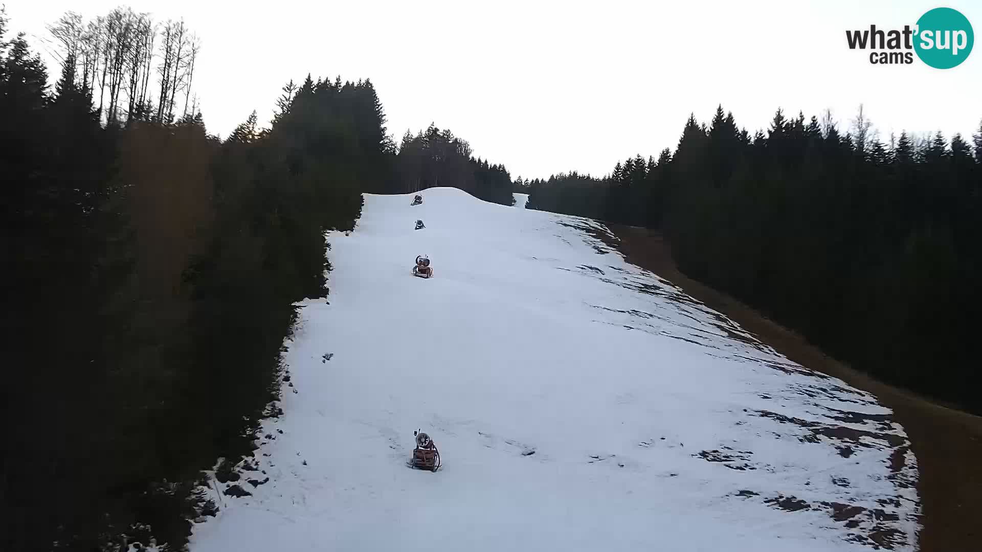 Spletna kamera Rogla apartmaji Dandi – Jurgovo