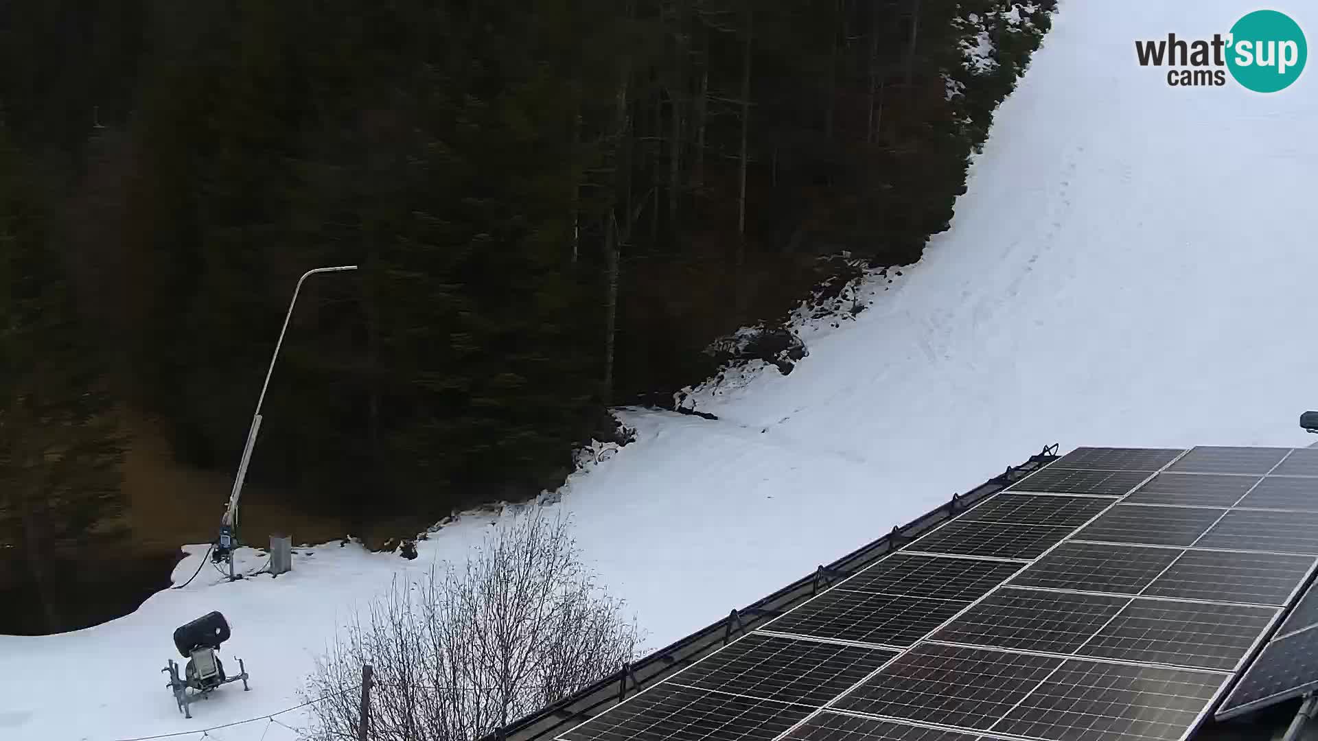 Web kamera Rogla apartmani Dandi – Jurgovo