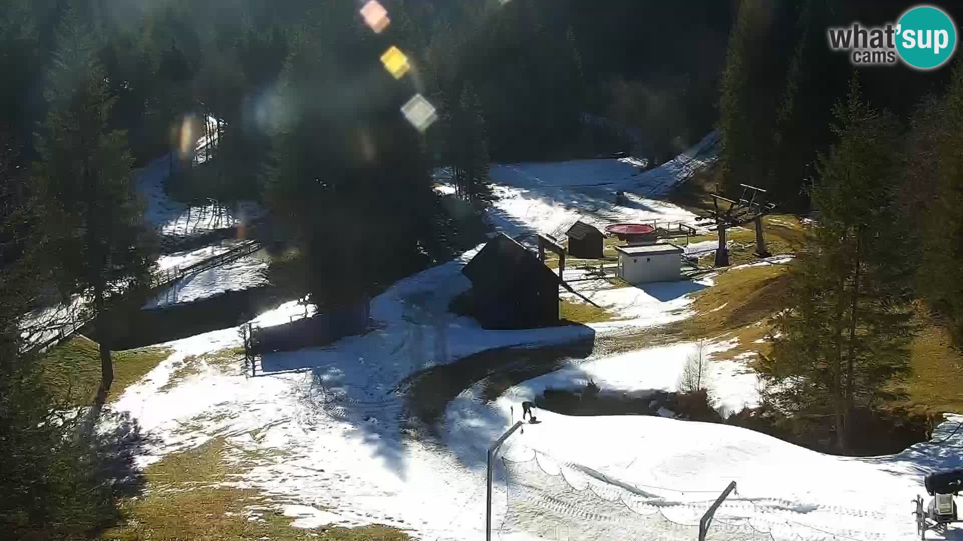 Livecam Rogla apartments Dandi – Jurgovo