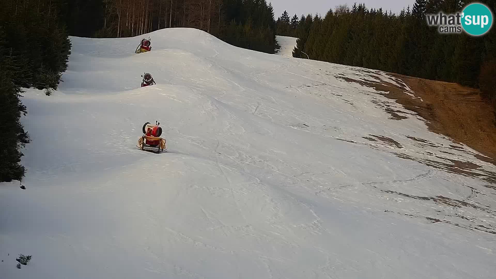 Web kamera Rogla apartmani Dandi – Jurgovo