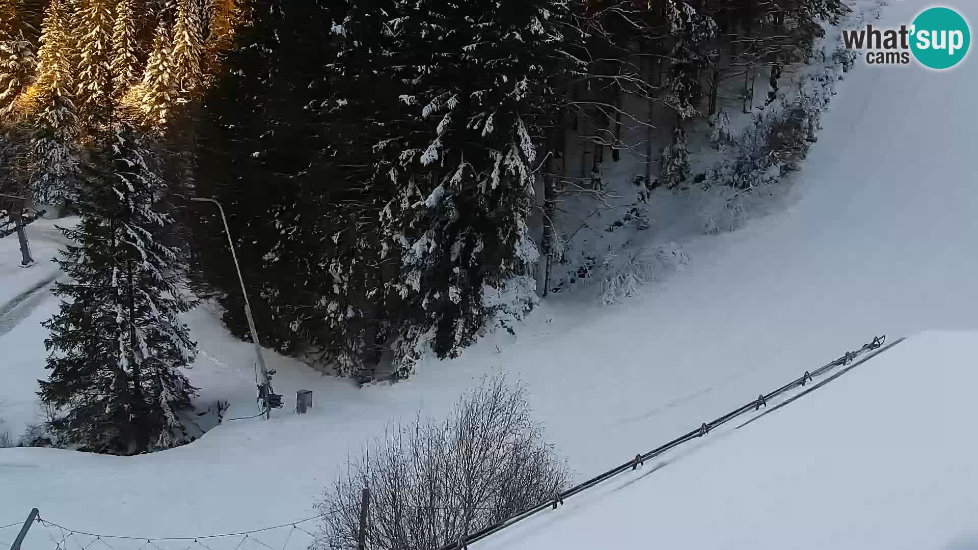 Webcam Rogla Wohnungen Dandi – Jurgovo