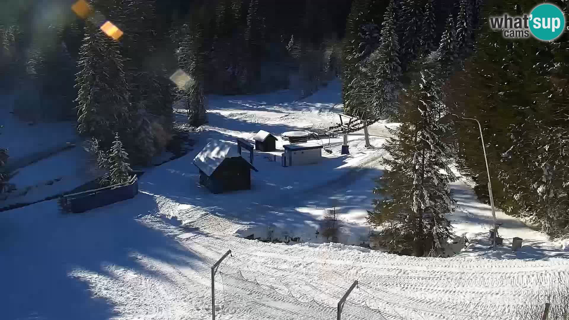 Webcam Rogla Wohnungen Dandi – Jurgovo