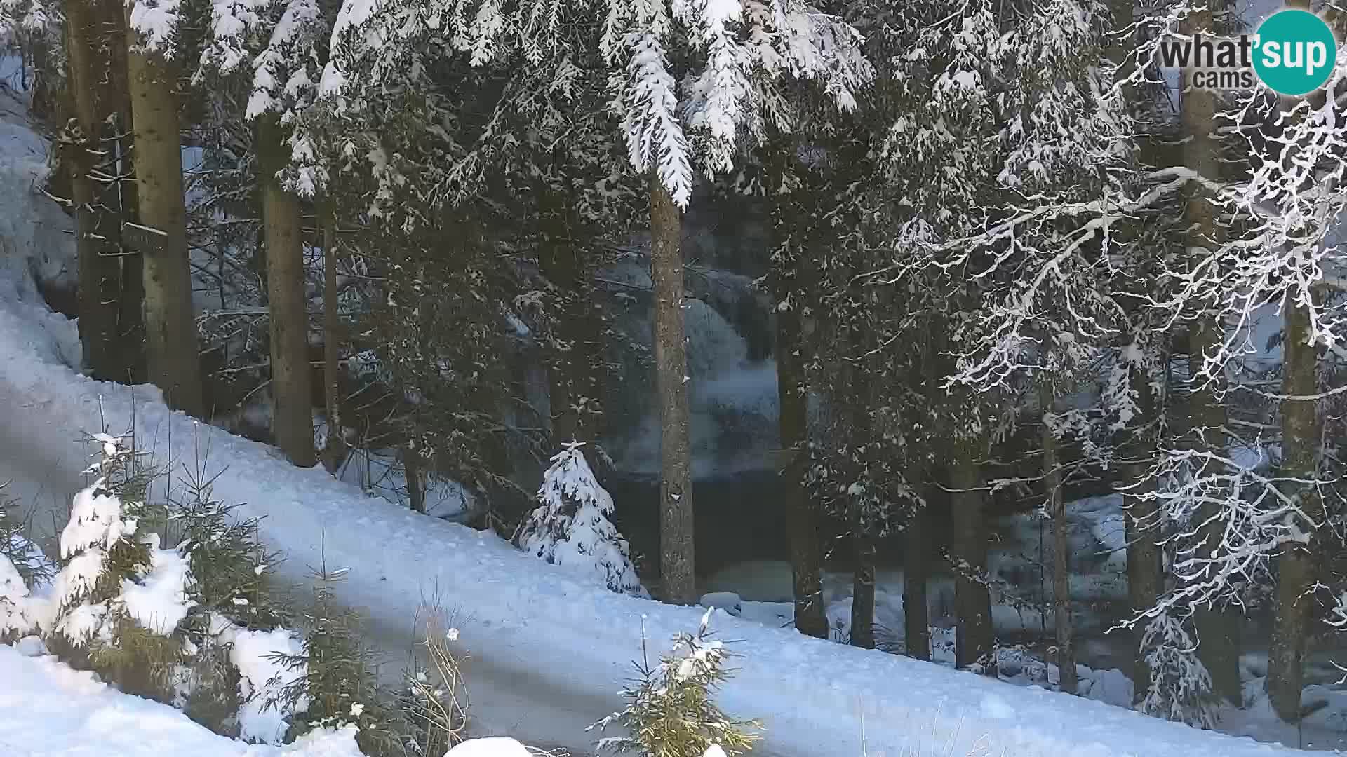 Webcam Rogla Wohnungen Dandi – Jurgovo