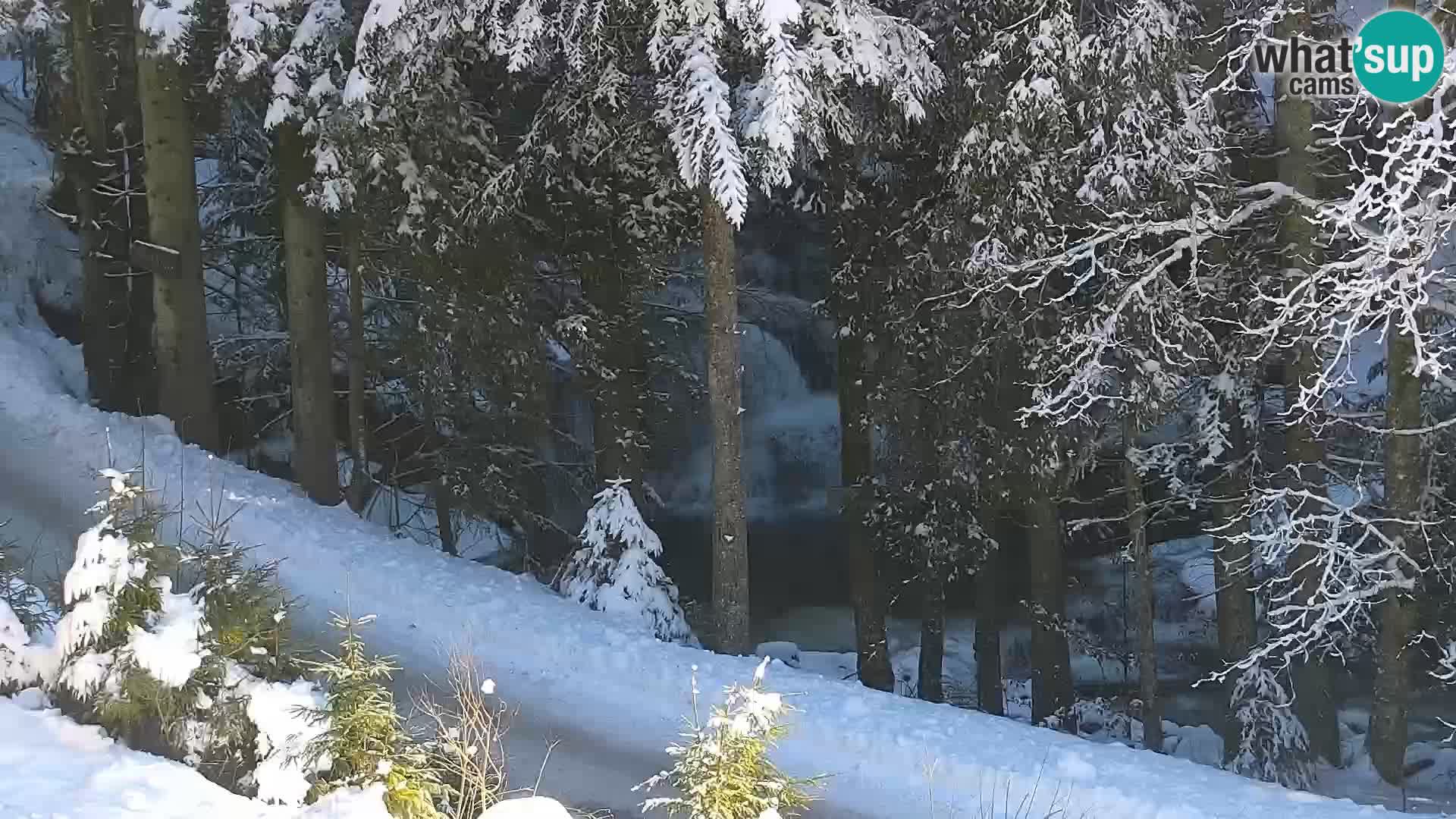 Webcam Rogla Wohnungen Dandi – Jurgovo