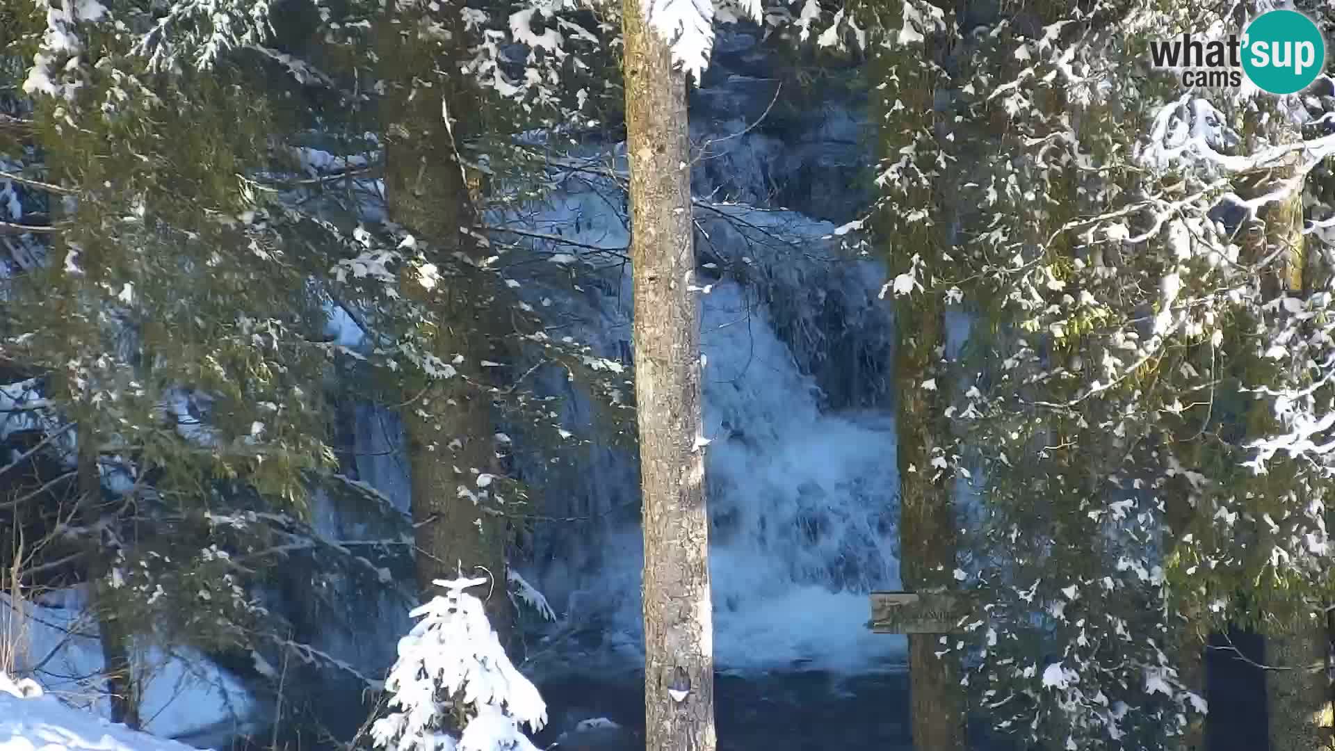 Web kamera Rogla apartmani Dandi – Jurgovo