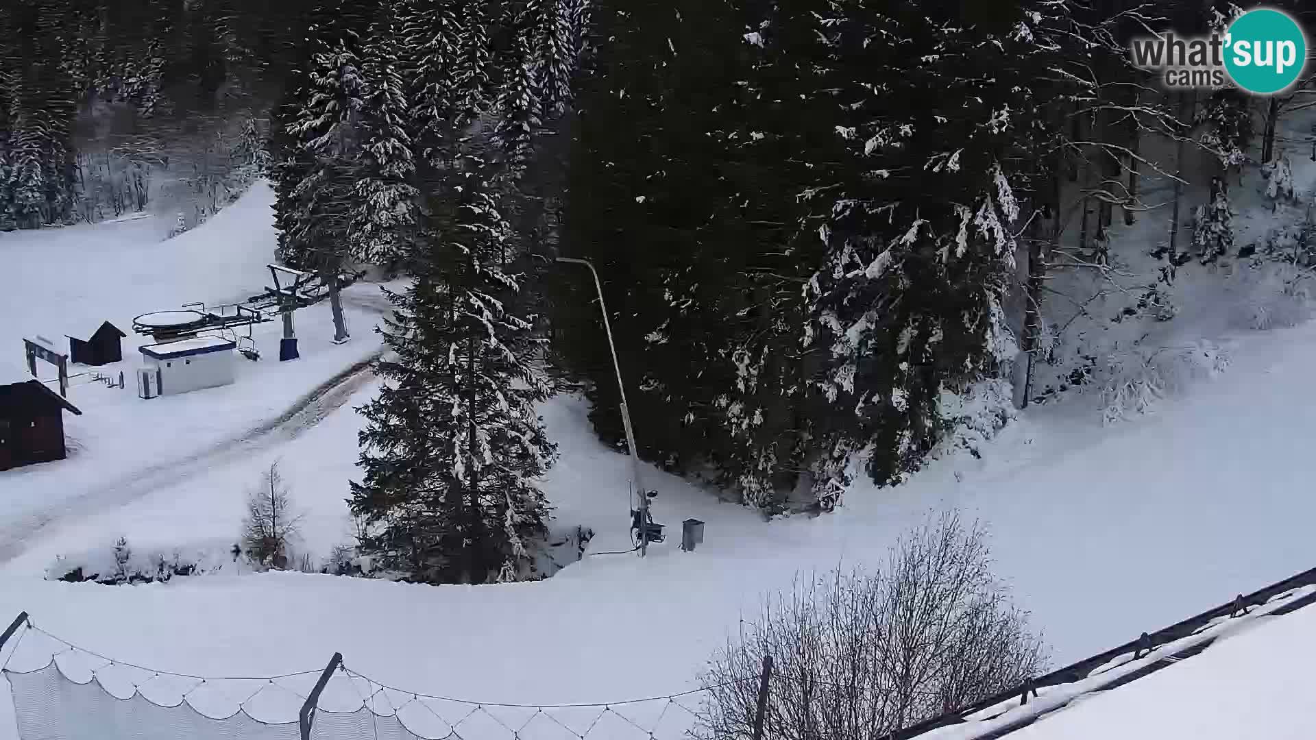 Web kamera Rogla apartmani Dandi – Jurgovo