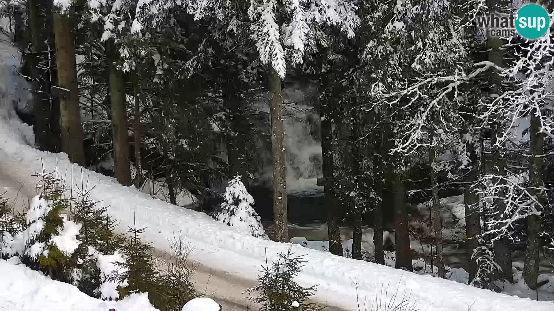 Live webcam Rogla appartamenti Dandi – Jurgovo