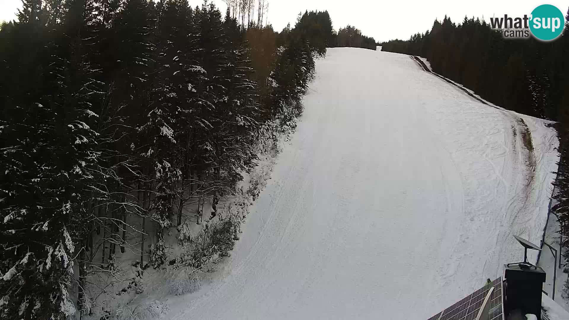 Spletna kamera Rogla apartmaji Dandi – Jurgovo