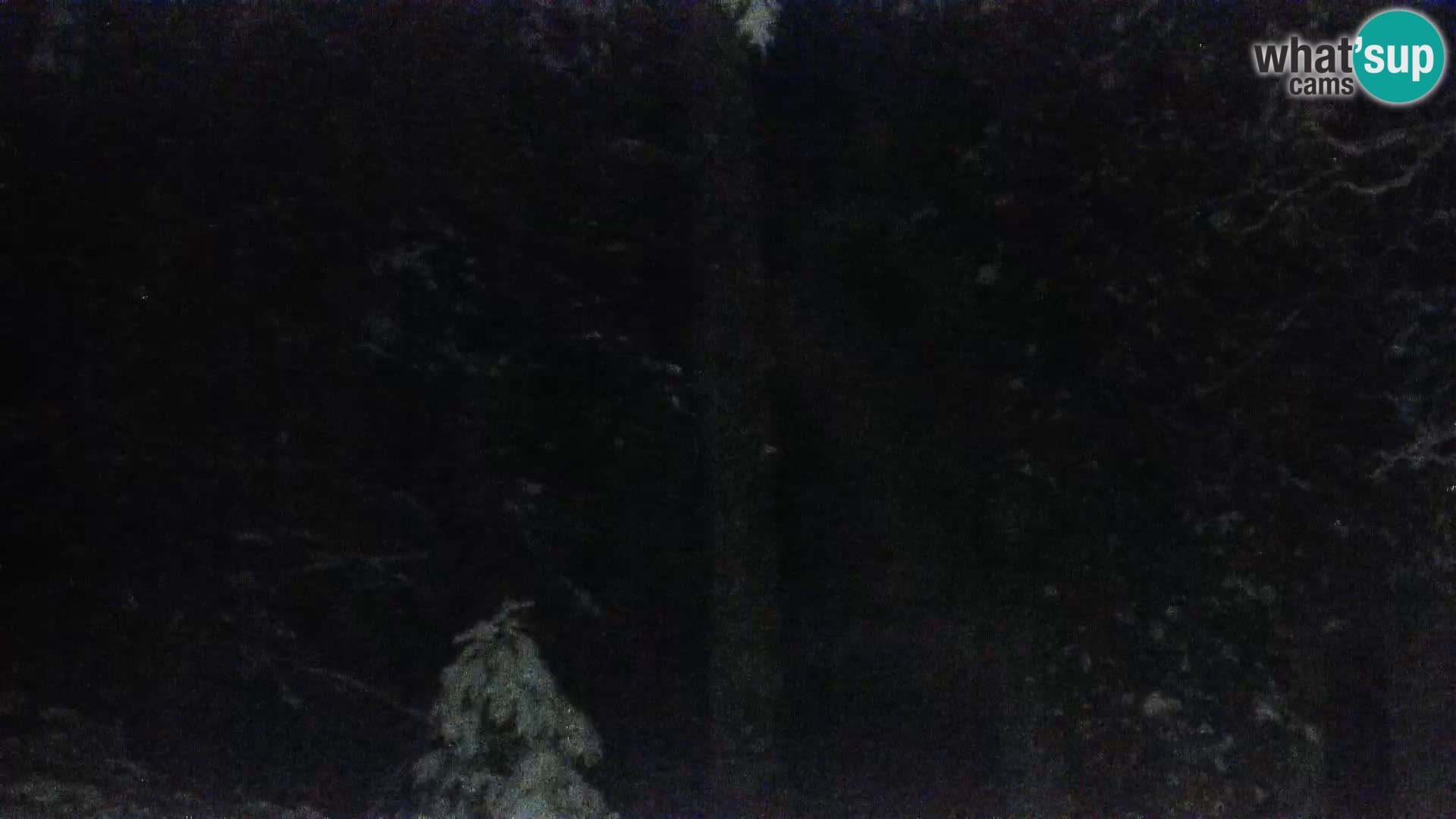Livecam Rogla apartments Dandi – Jurgovo