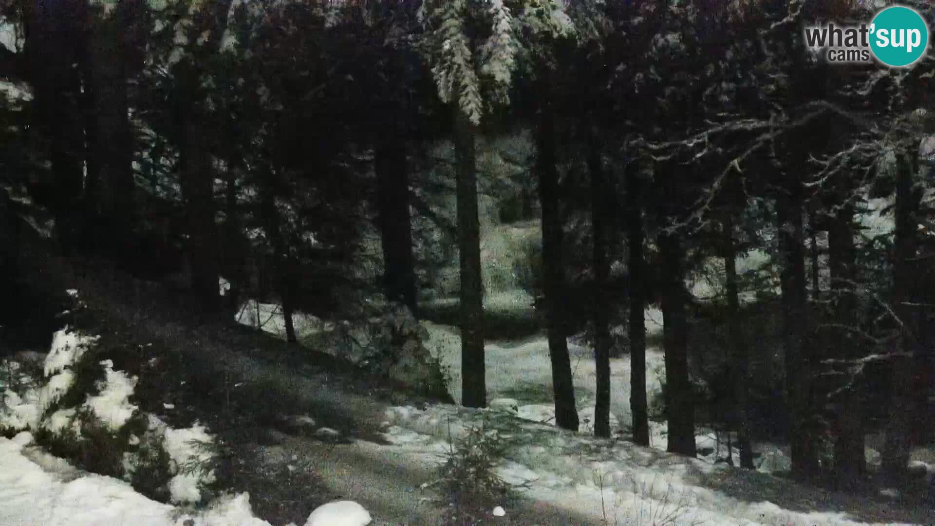 Camera en vivo Rogla appartamentos Dandi – Jurgovo