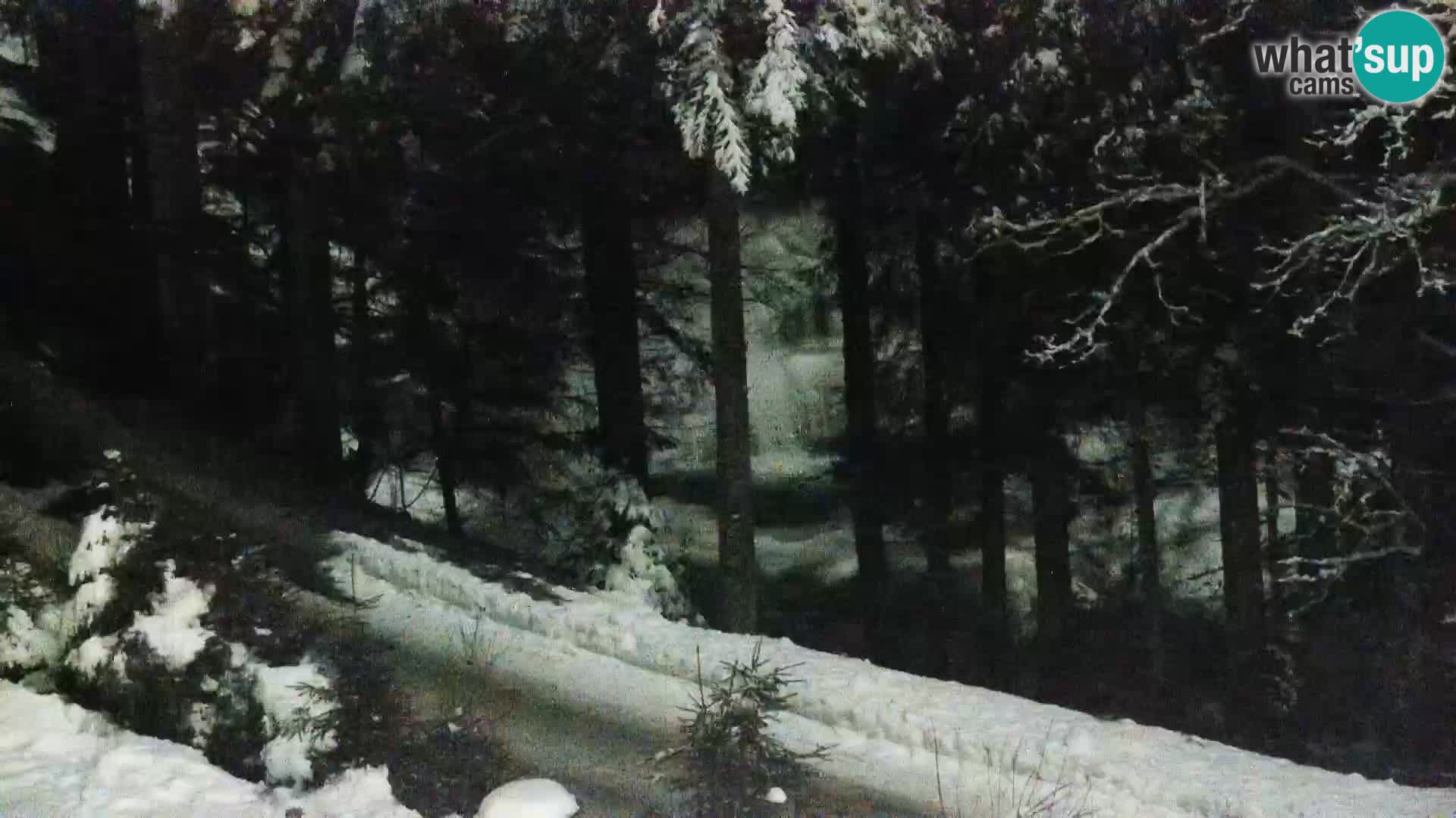 Camera en vivo Rogla appartamentos Dandi – Jurgovo