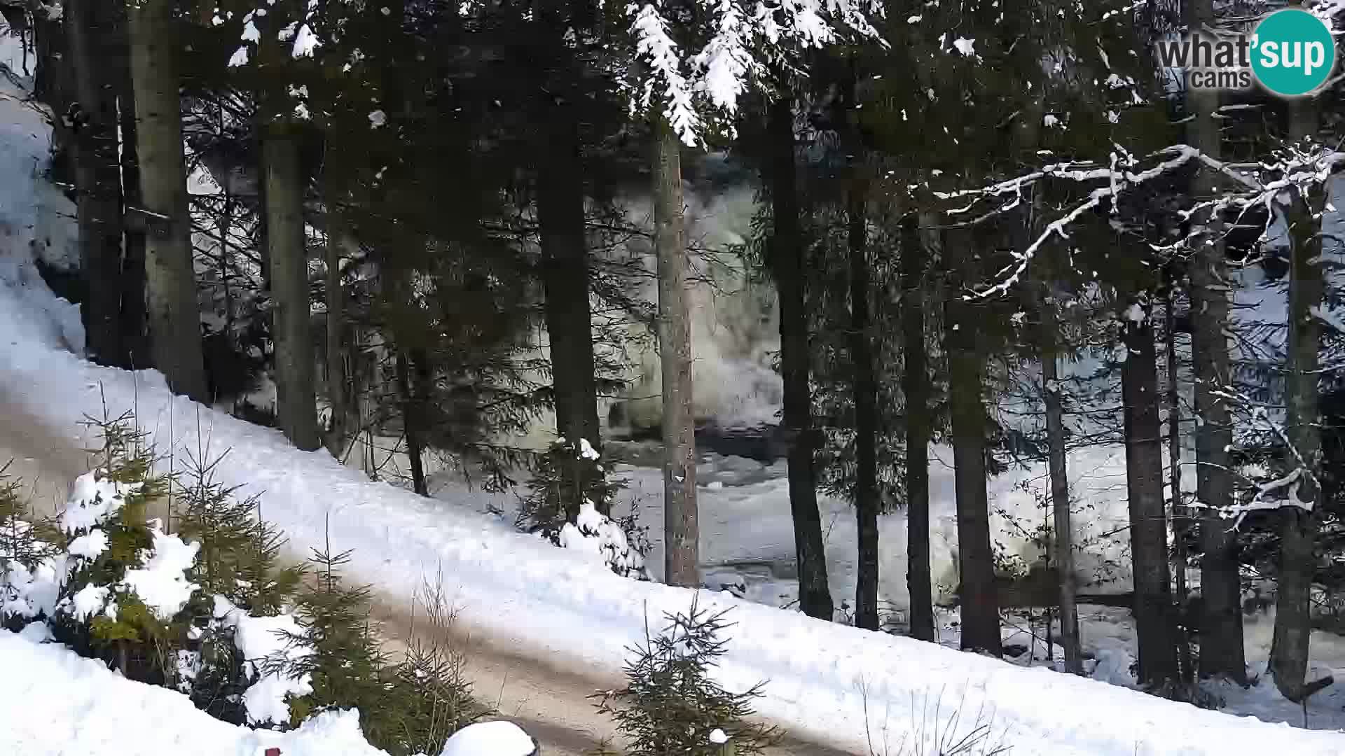 Livecam Rogla apartments Dandi – Jurgovo