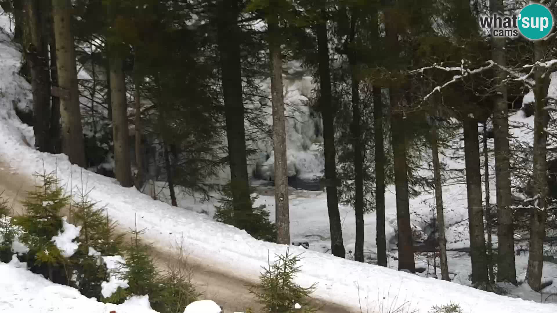 Livecam Rogla apartments Dandi – Jurgovo