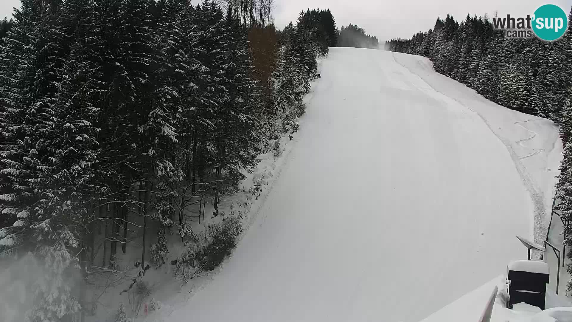 Webcam Rogla Wohnungen Dandi – Jurgovo