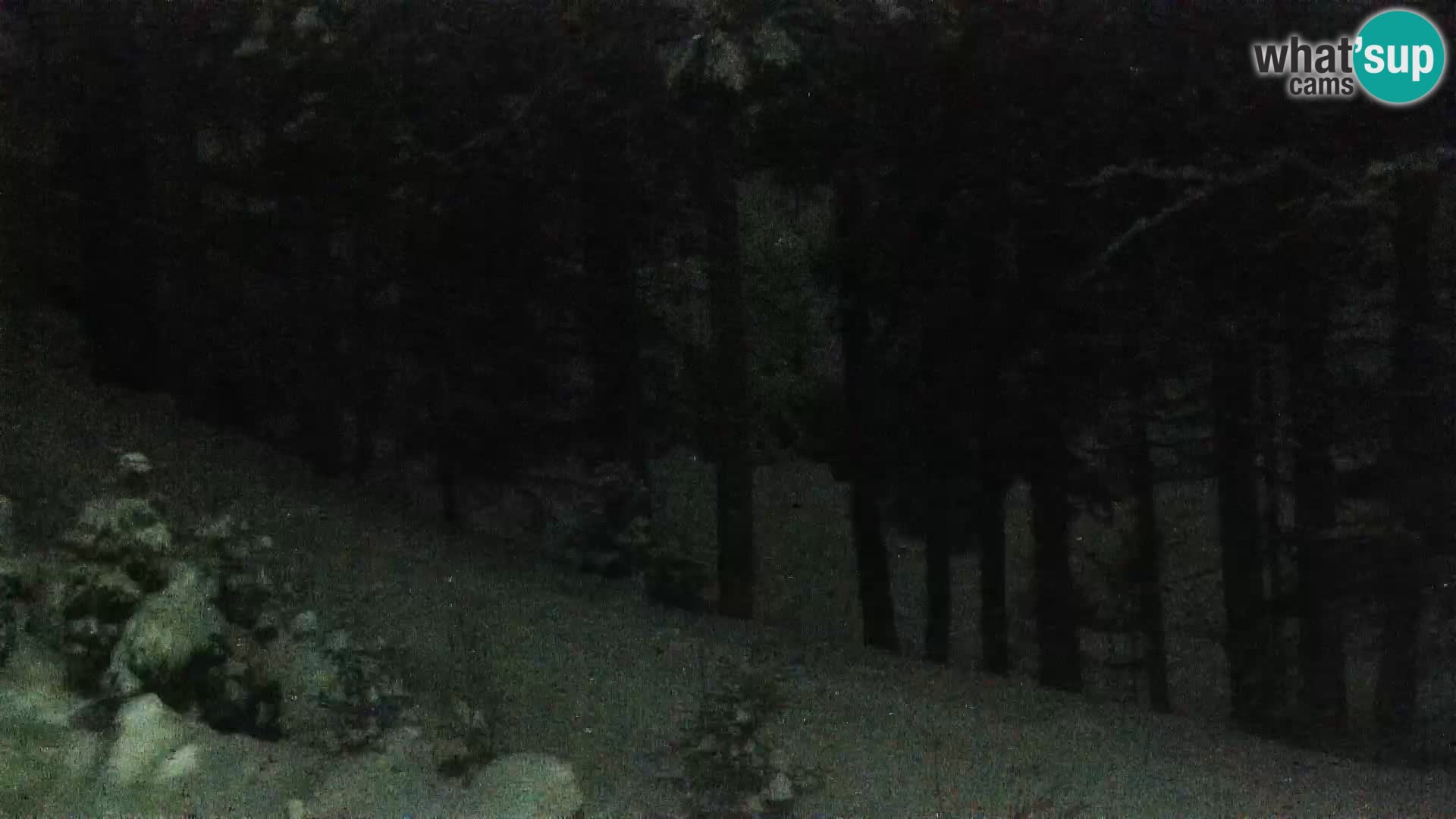 Webcam Rogla Wohnungen Dandi – Jurgovo