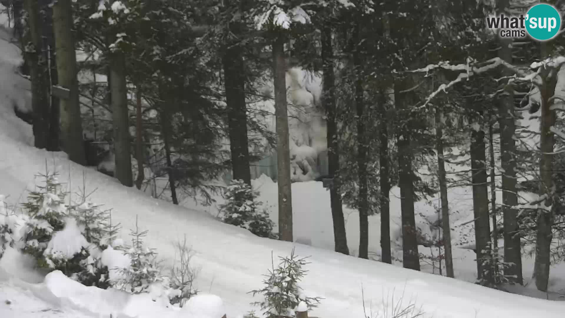 Live webcam Rogla appartamenti Dandi – Jurgovo