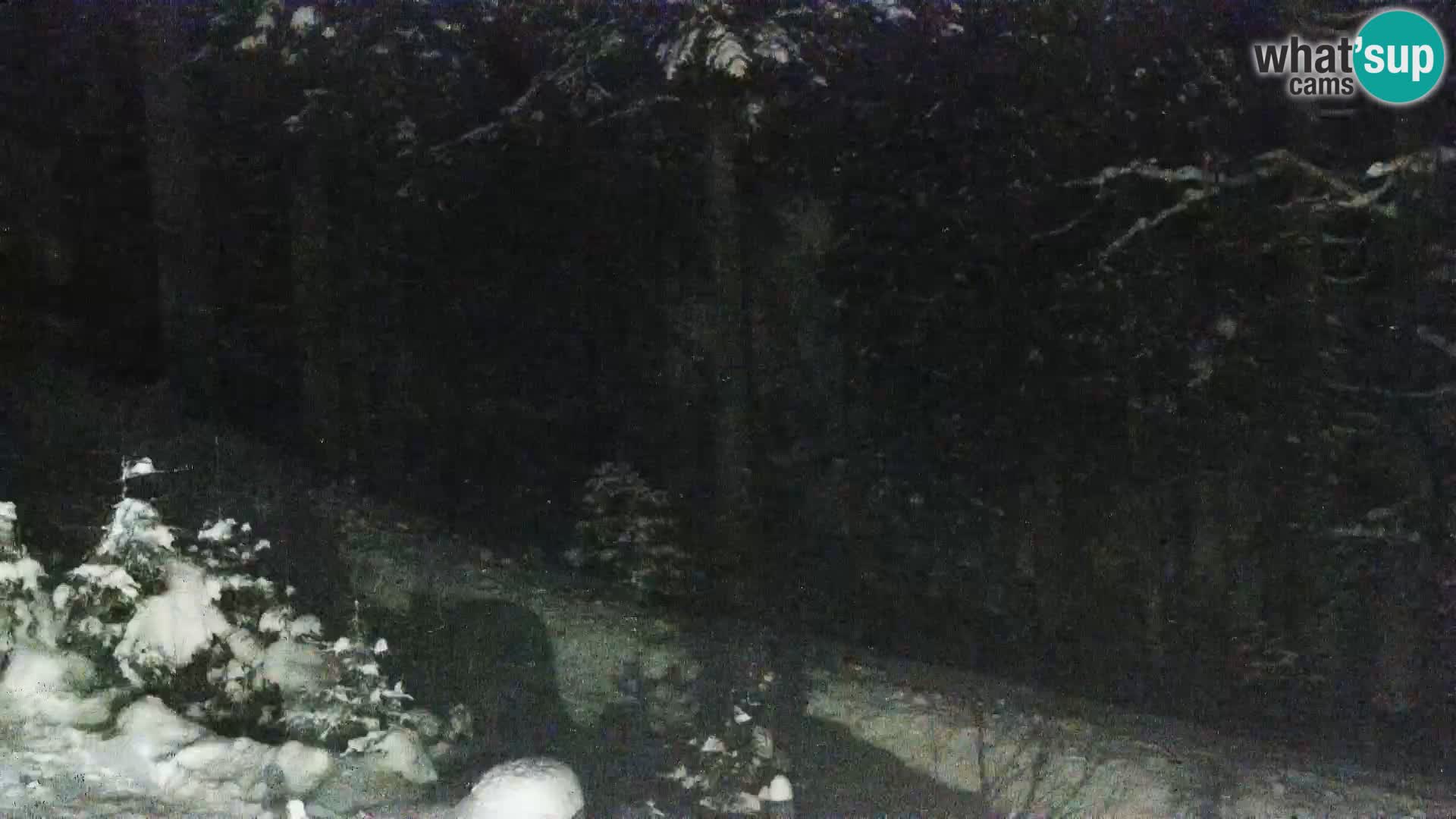 Livecam Rogla apartments Dandi – Jurgovo