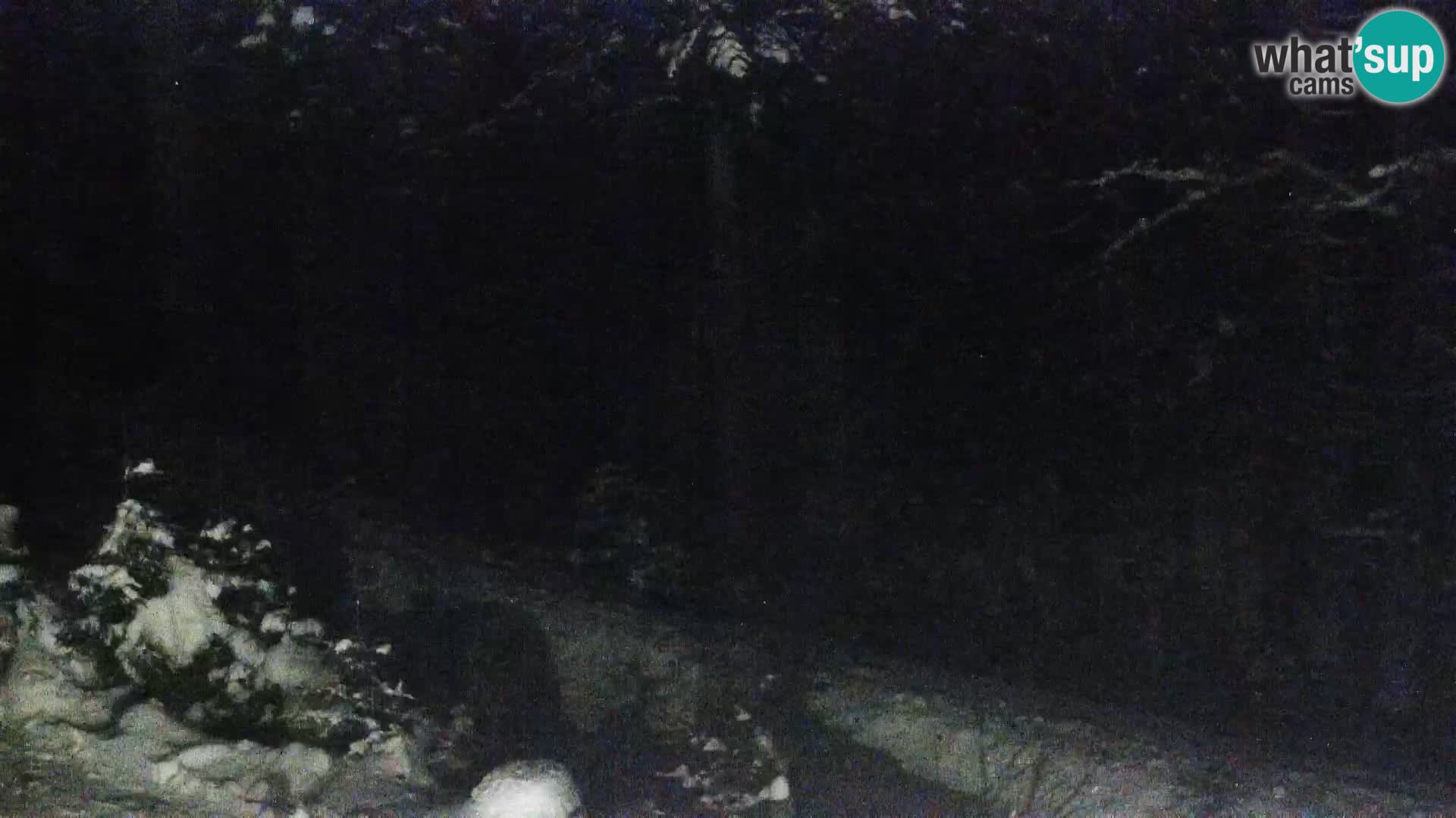 Live webcam Rogla appartamenti Dandi – Jurgovo