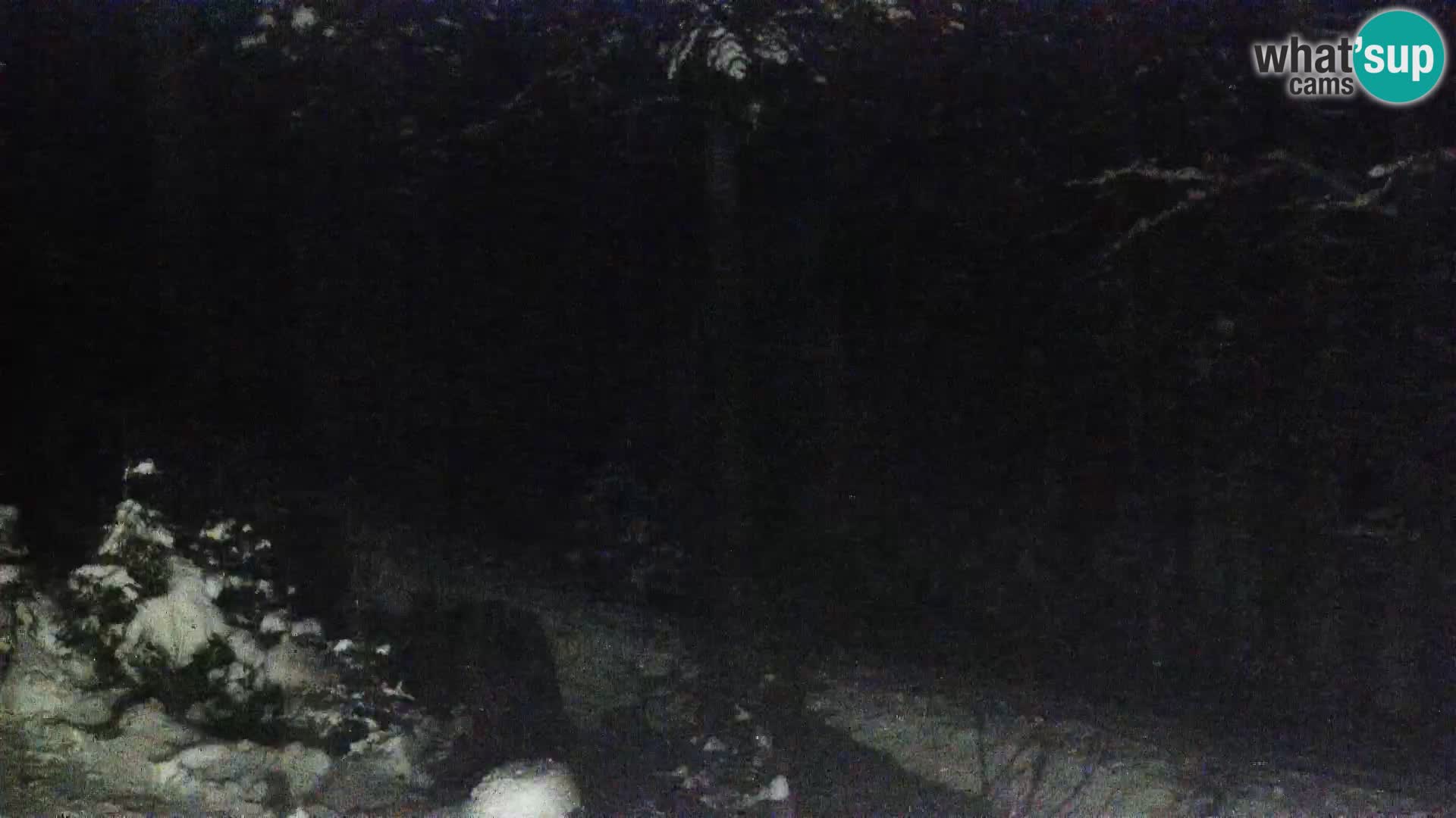 Livecam Rogla apartments Dandi – Jurgovo