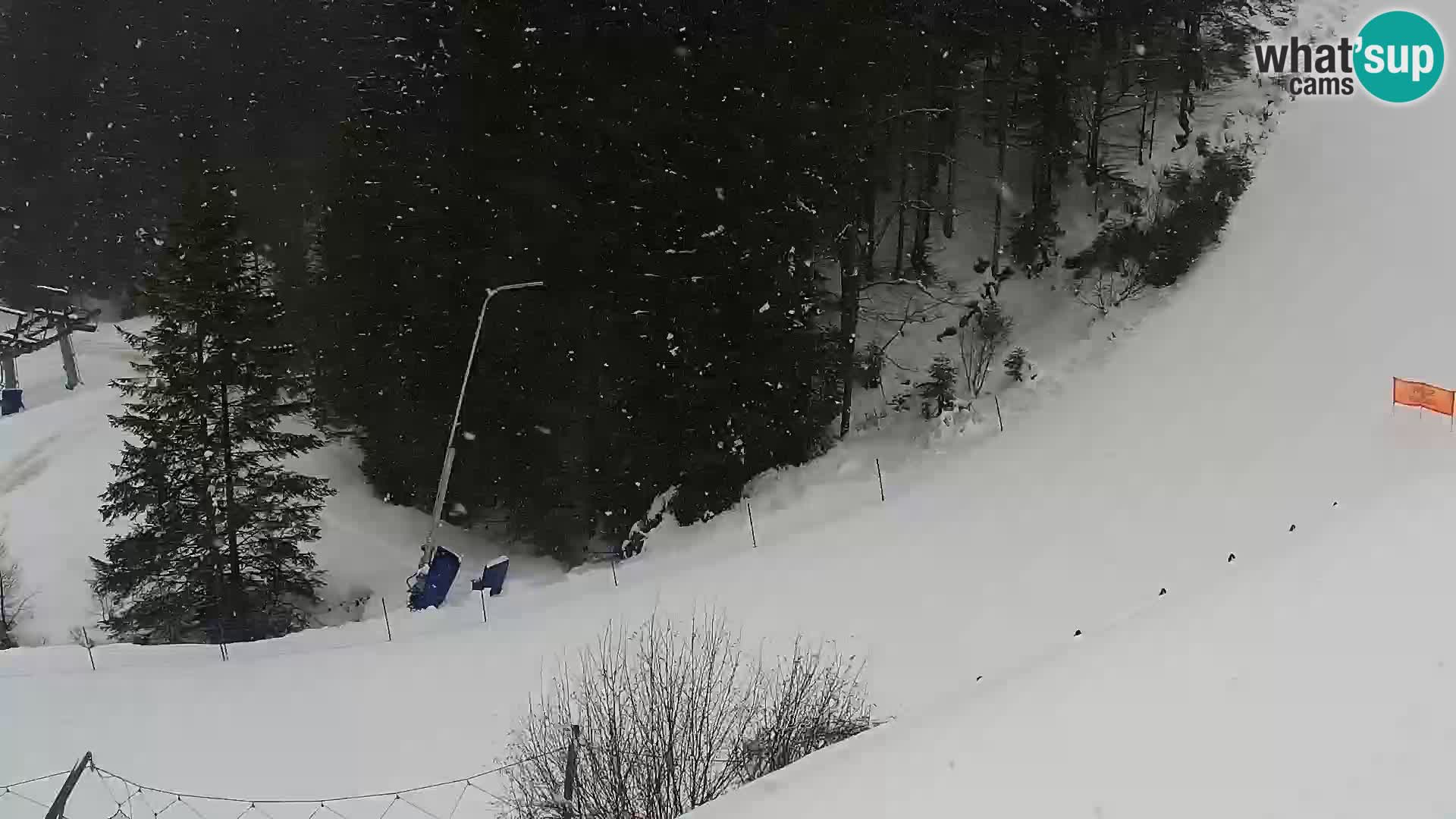 Spletna kamera Rogla apartmaji Dandi – Jurgovo