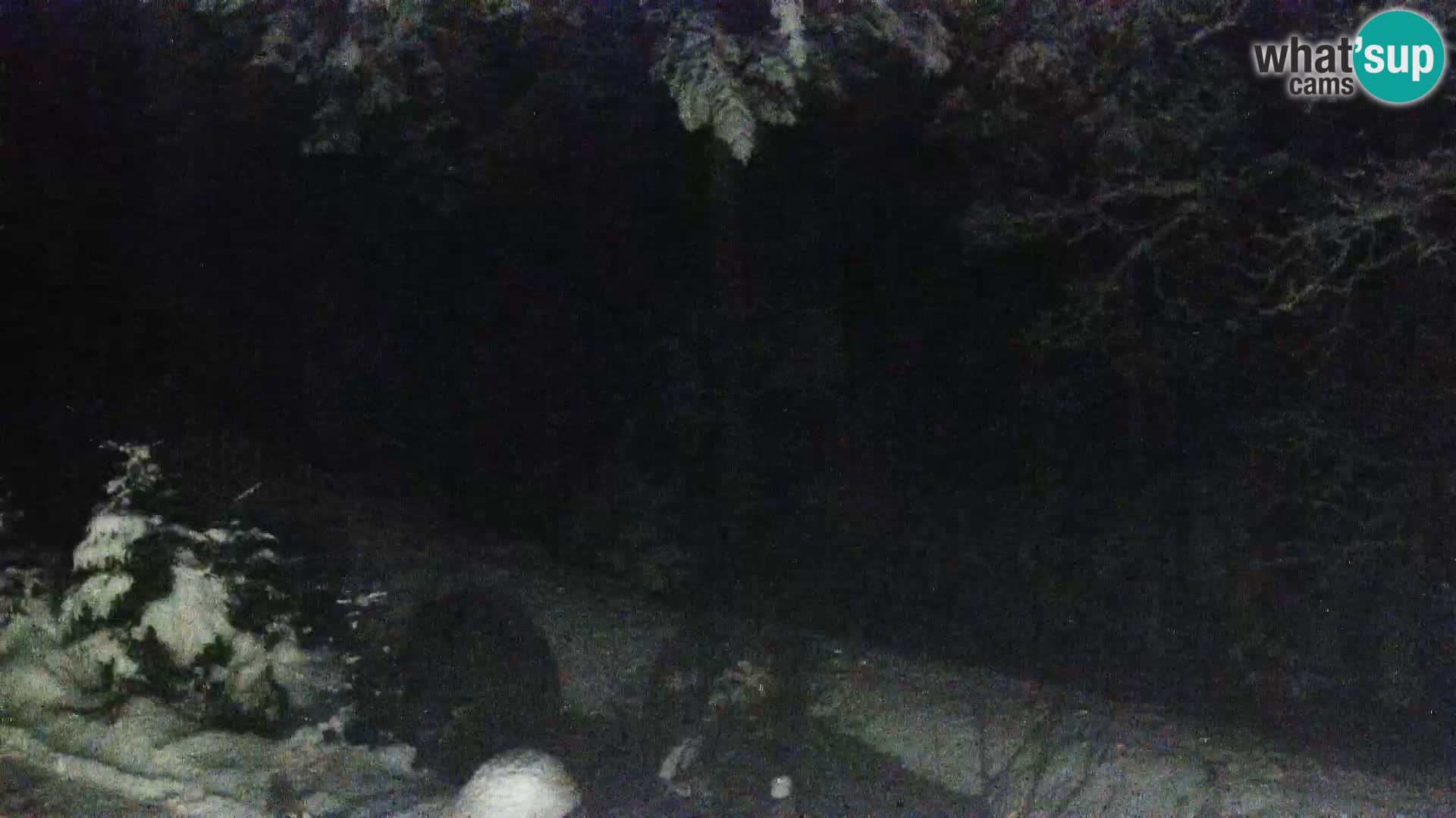 Live webcam Rogla appartamenti Dandi – Jurgovo