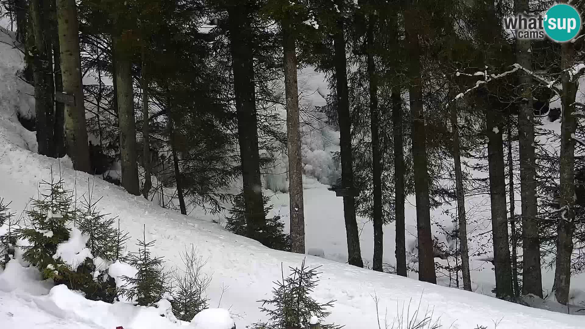 Camera en vivo Rogla appartamentos Dandi – Jurgovo