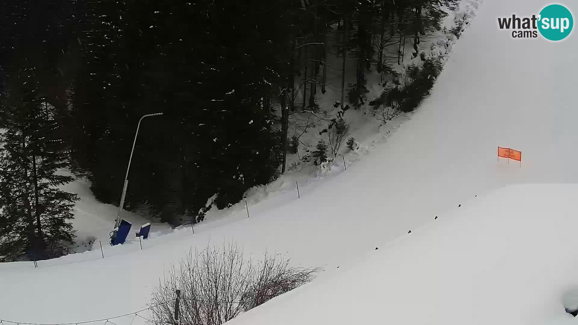 Livecam Rogla apartments Dandi – Jurgovo