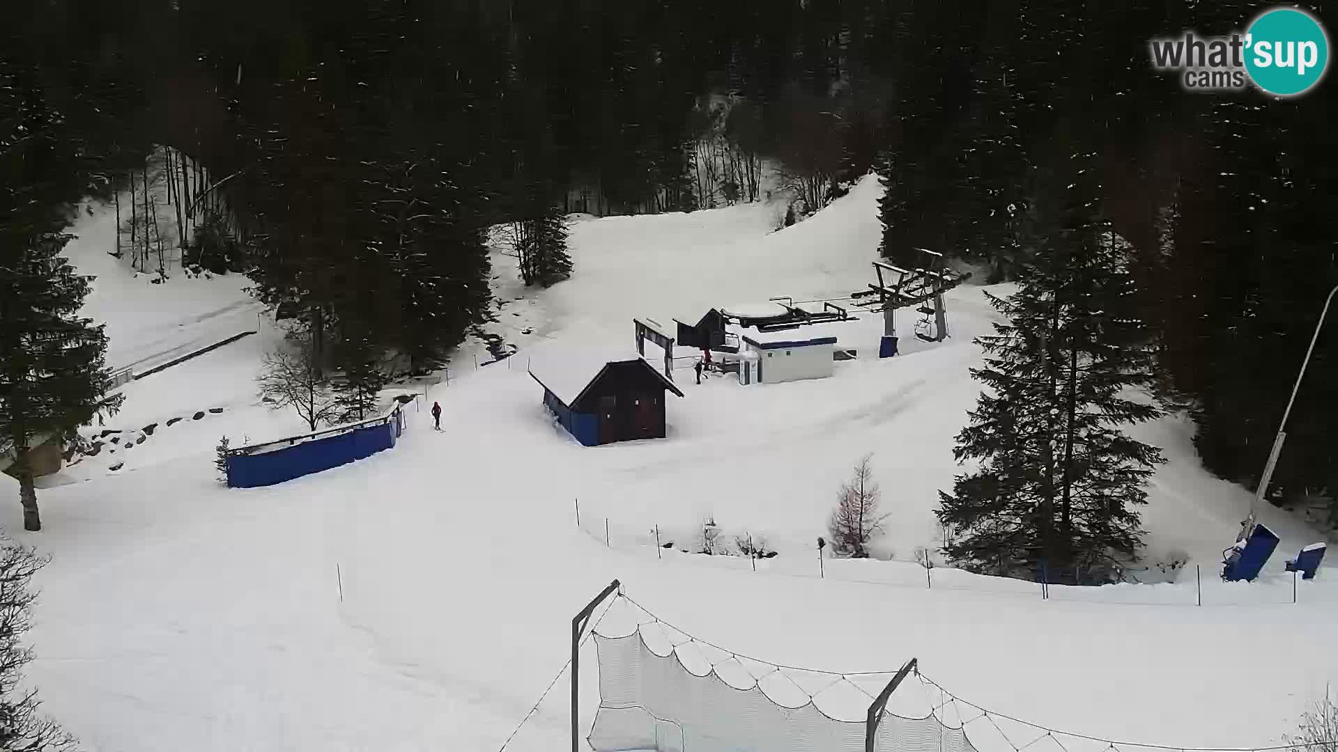 Livecam Rogla apartments Dandi – Jurgovo