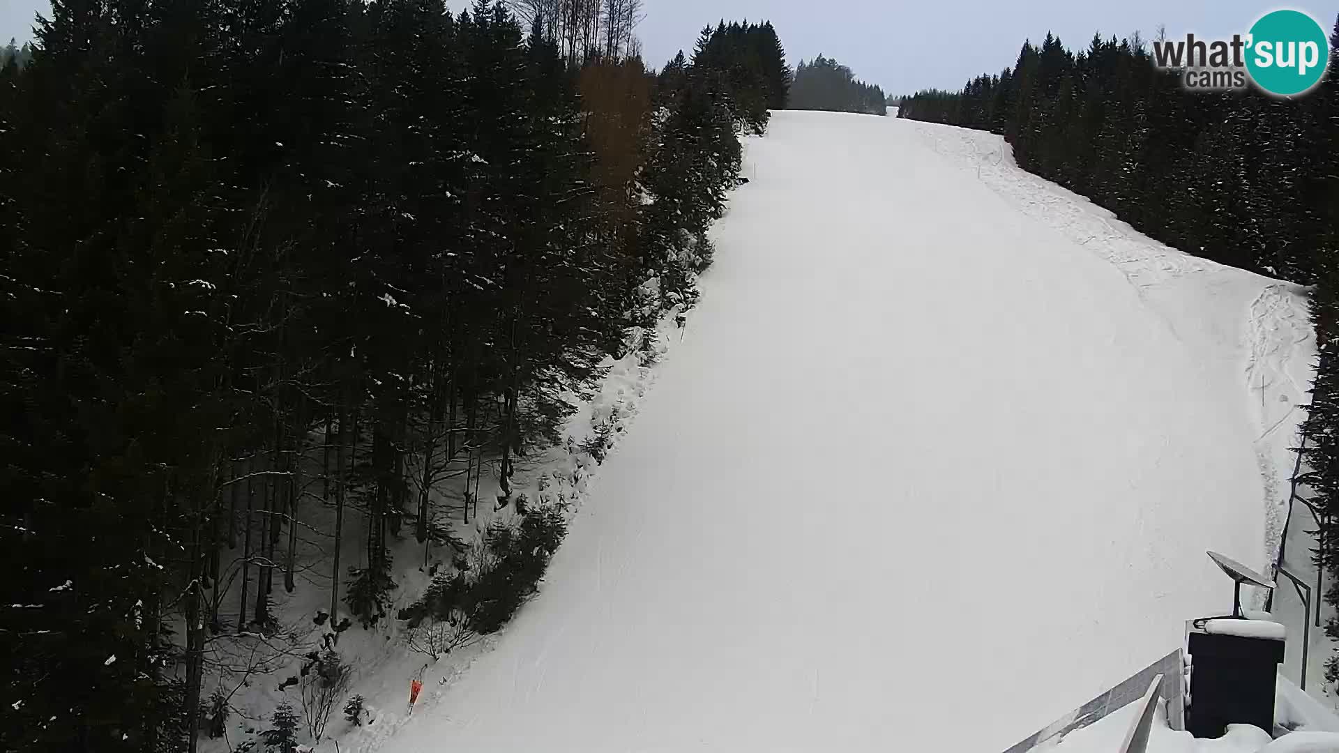 Livecam Rogla apartments Dandi – Jurgovo