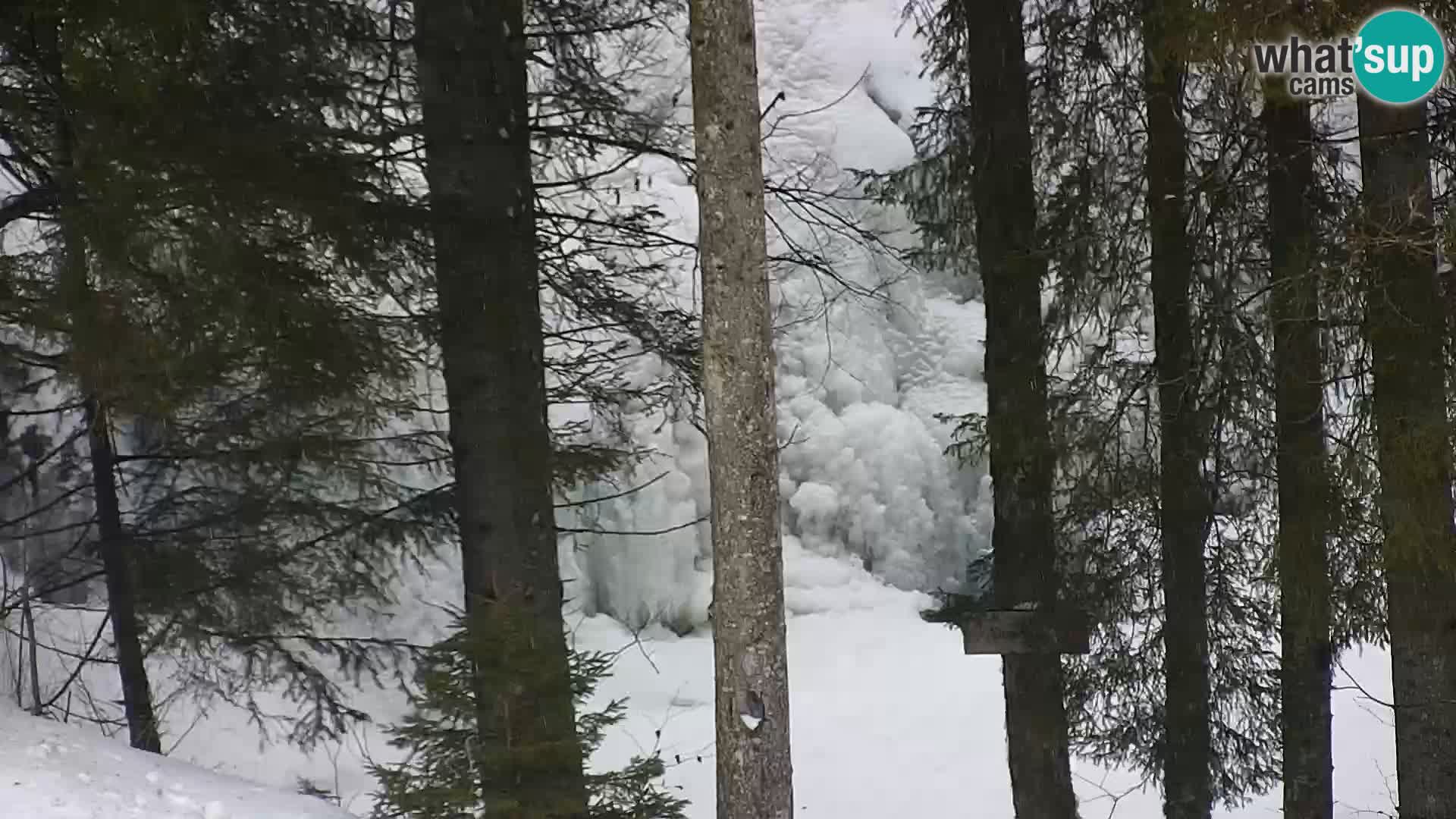 Livecam Rogla apartments Dandi – Jurgovo