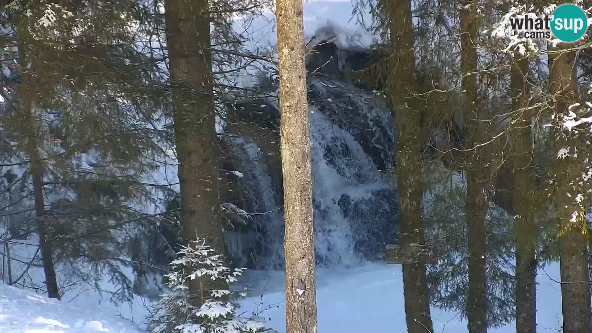 Live webcam Rogla appartamenti Dandi – Jurgovo