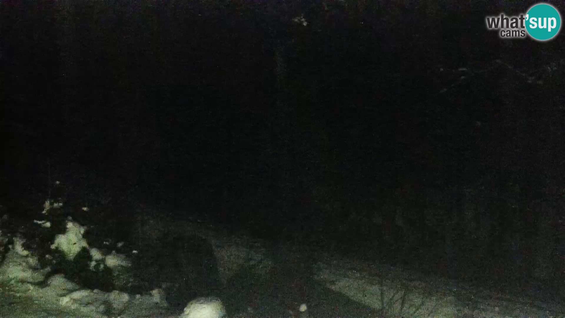 Live Rogla appartements Dandi – Jurgovo