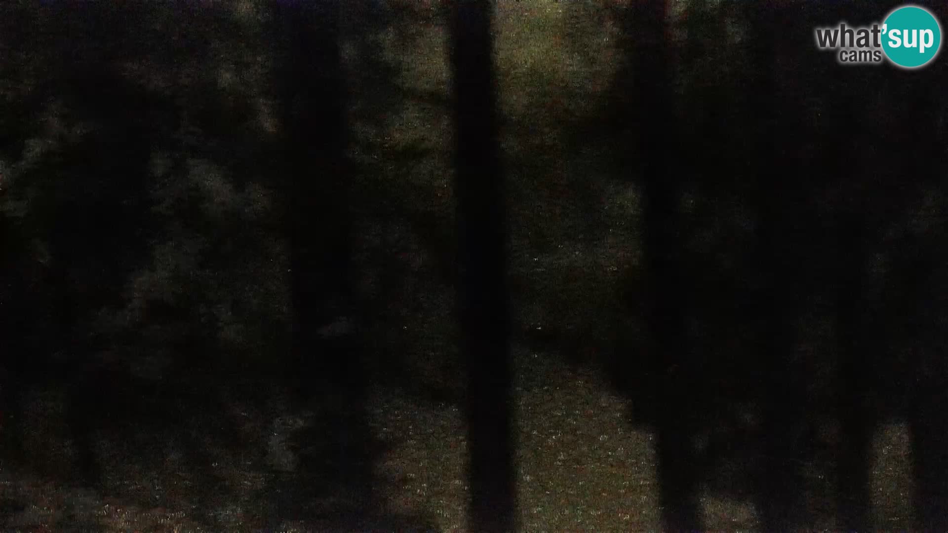 Live Rogla appartements Dandi – Jurgovo