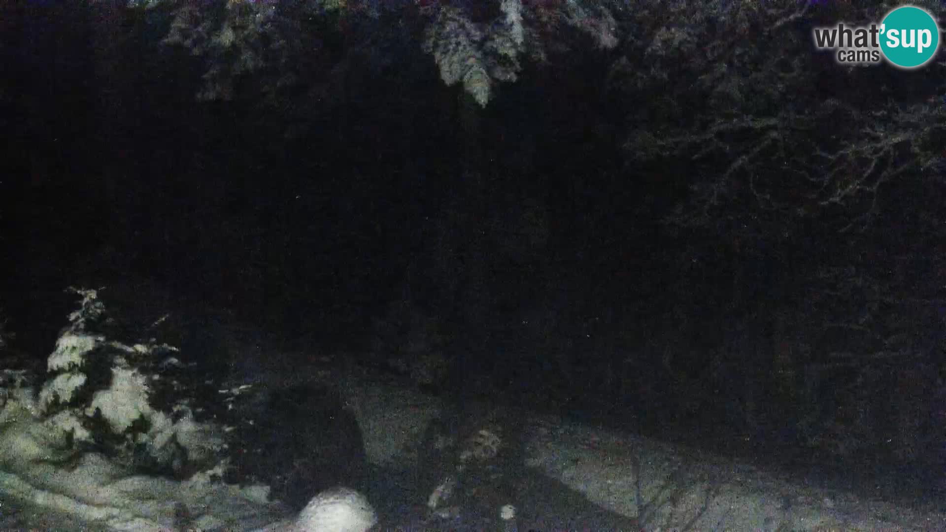 Camera en vivo Rogla appartamentos Dandi – Jurgovo