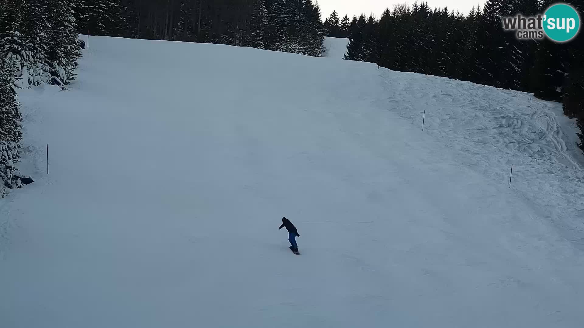 Livecam Rogla apartments Dandi – Jurgovo