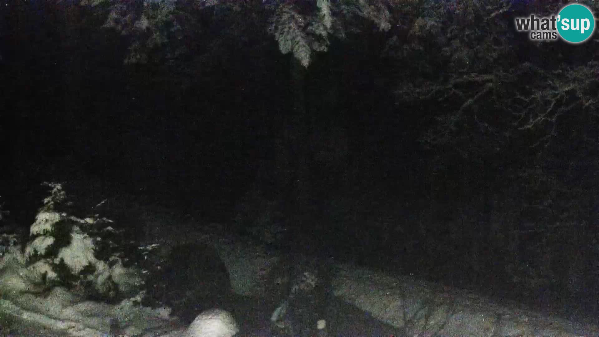 Web kamera Rogla apartmani Dandi – Jurgovo