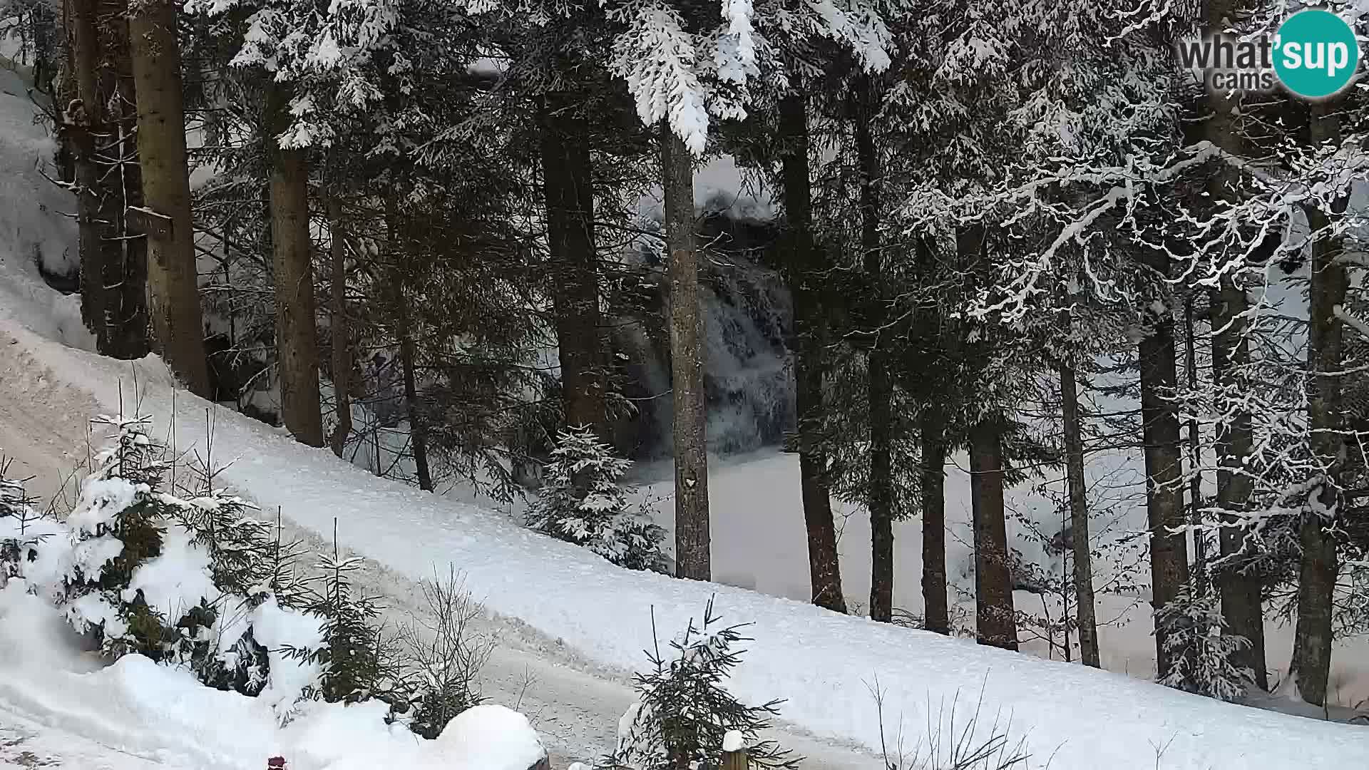 Live webcam Rogla appartamenti Dandi – Jurgovo