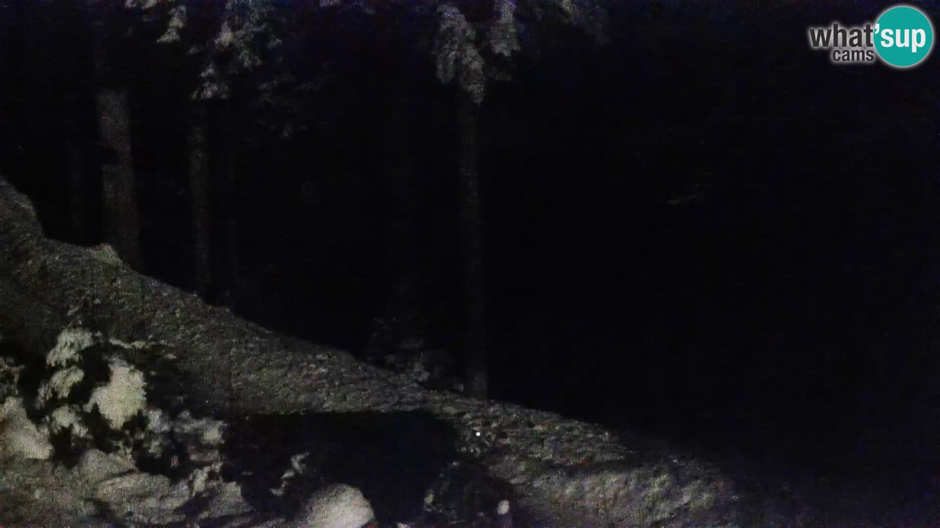 Camera en vivo Rogla appartamentos Dandi – Jurgovo