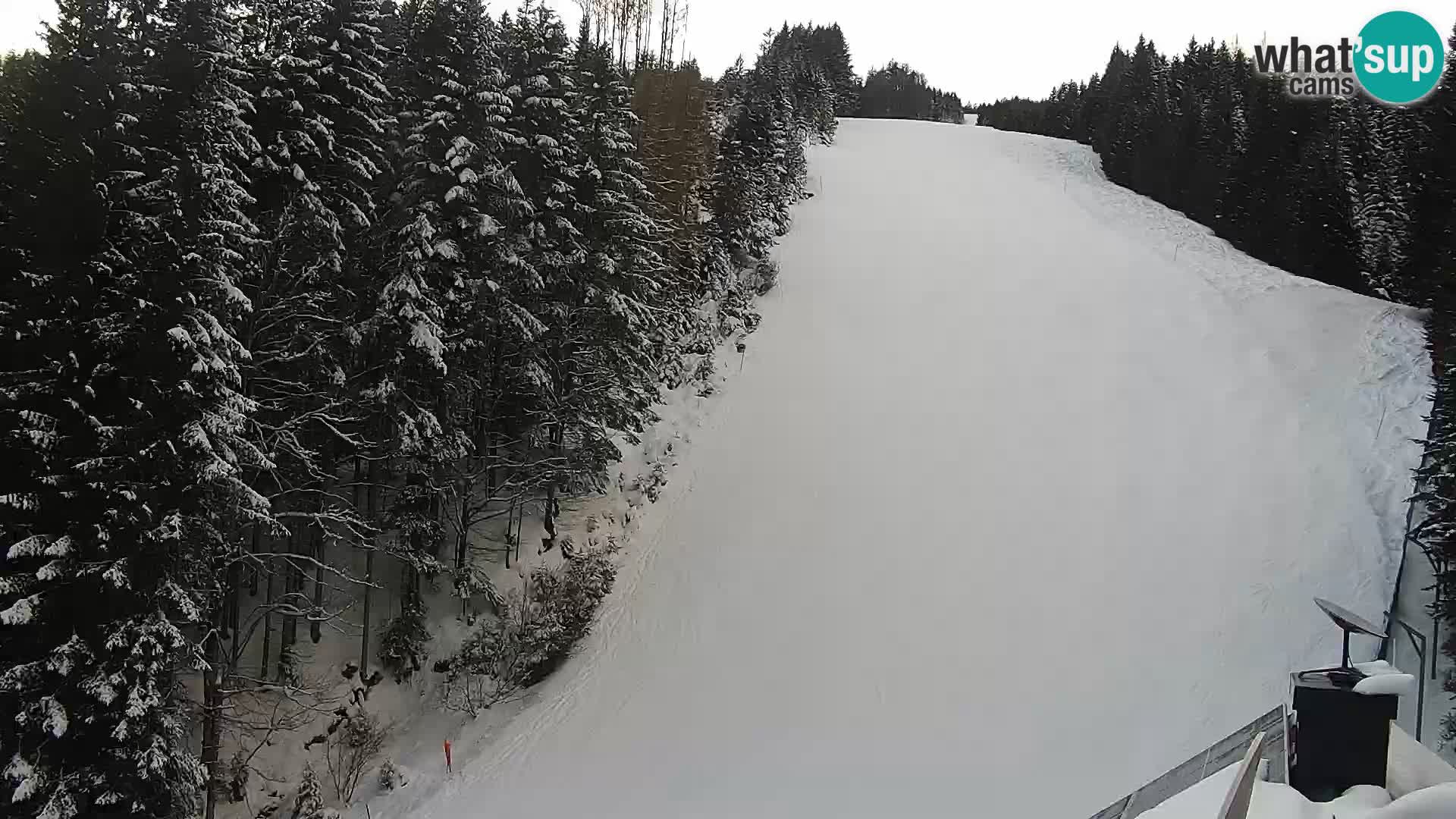 Camera en vivo Rogla appartamentos Dandi – Jurgovo