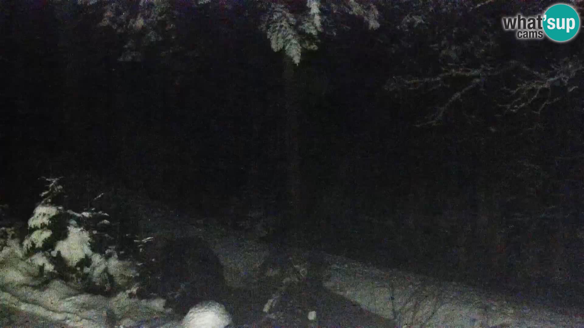 Web kamera Rogla apartmani Dandi – Jurgovo