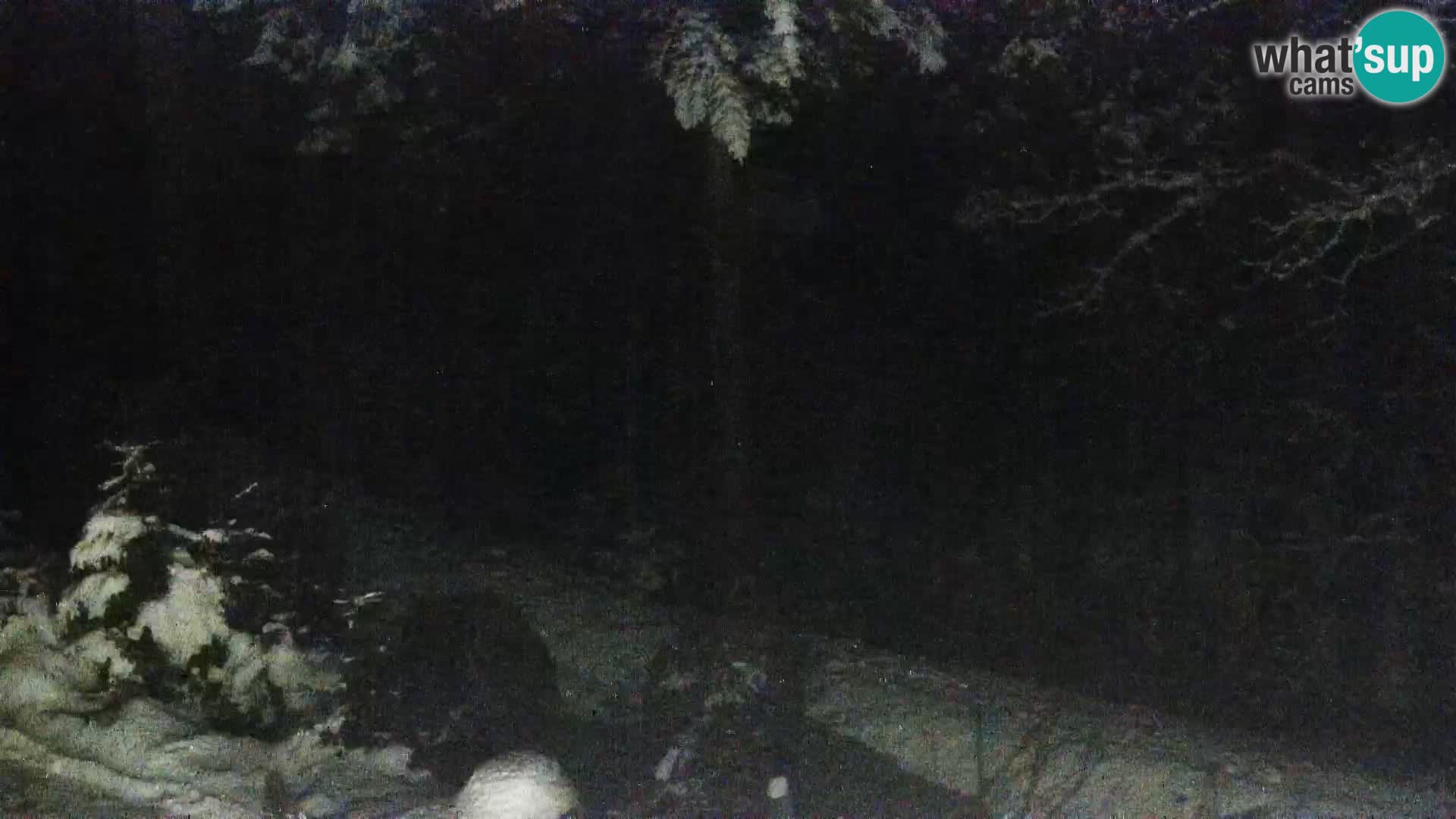 Web kamera Rogla apartmani Dandi – Jurgovo