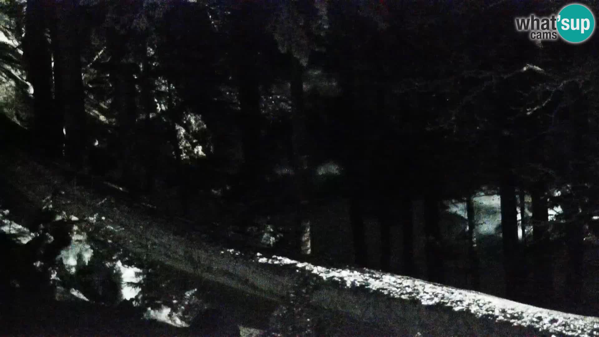 Webcam Rogla Wohnungen Dandi – Jurgovo