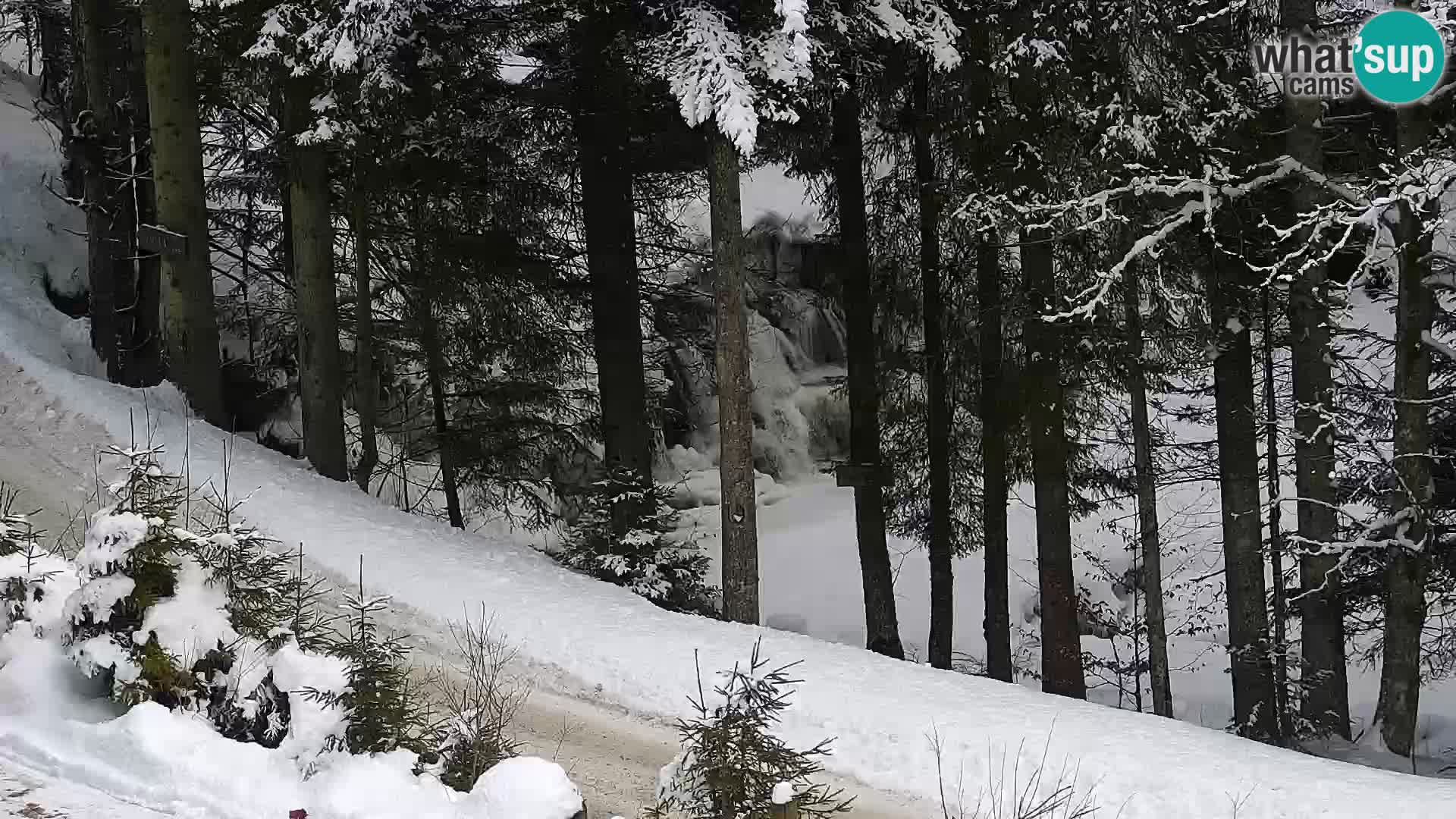 Spletna kamera Rogla apartmaji Dandi – Jurgovo