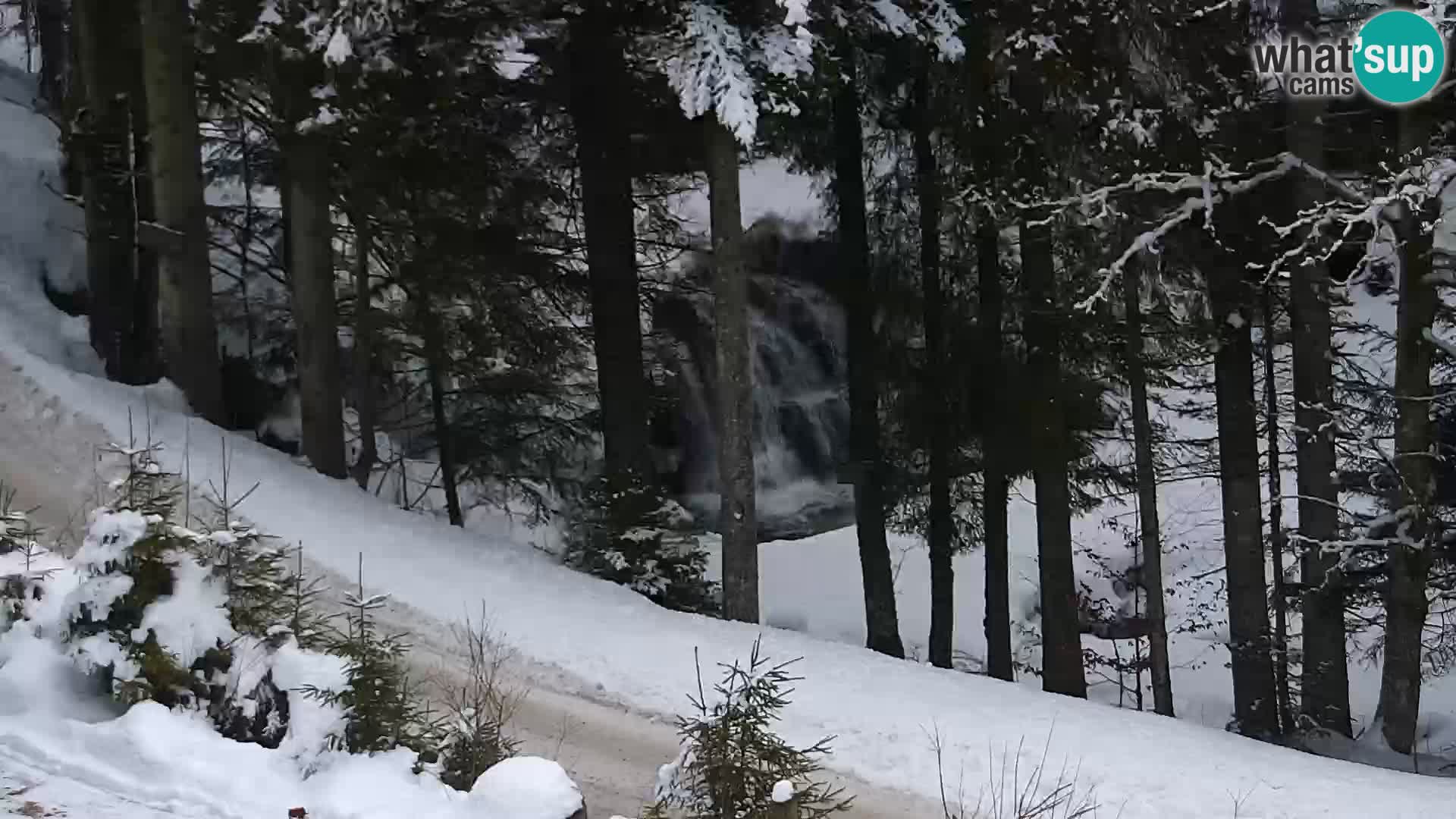 Web kamera Rogla apartmani Dandi – Jurgovo