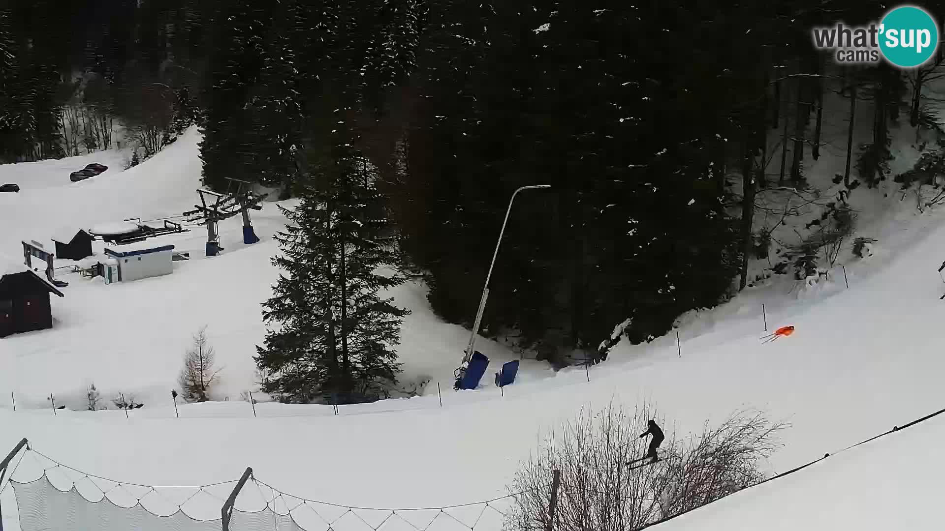 Live Rogla appartements Dandi – Jurgovo